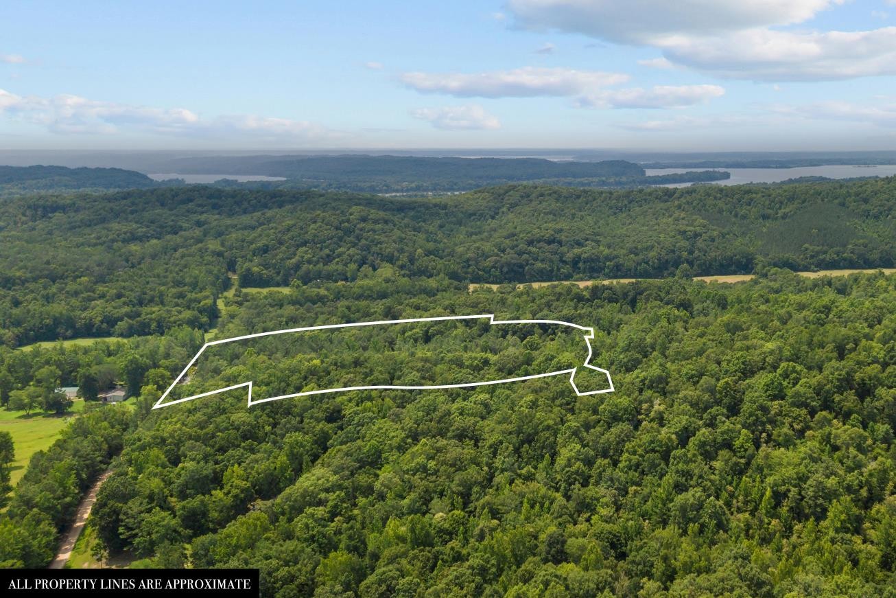 0 Roberts Creek Property Photo 13