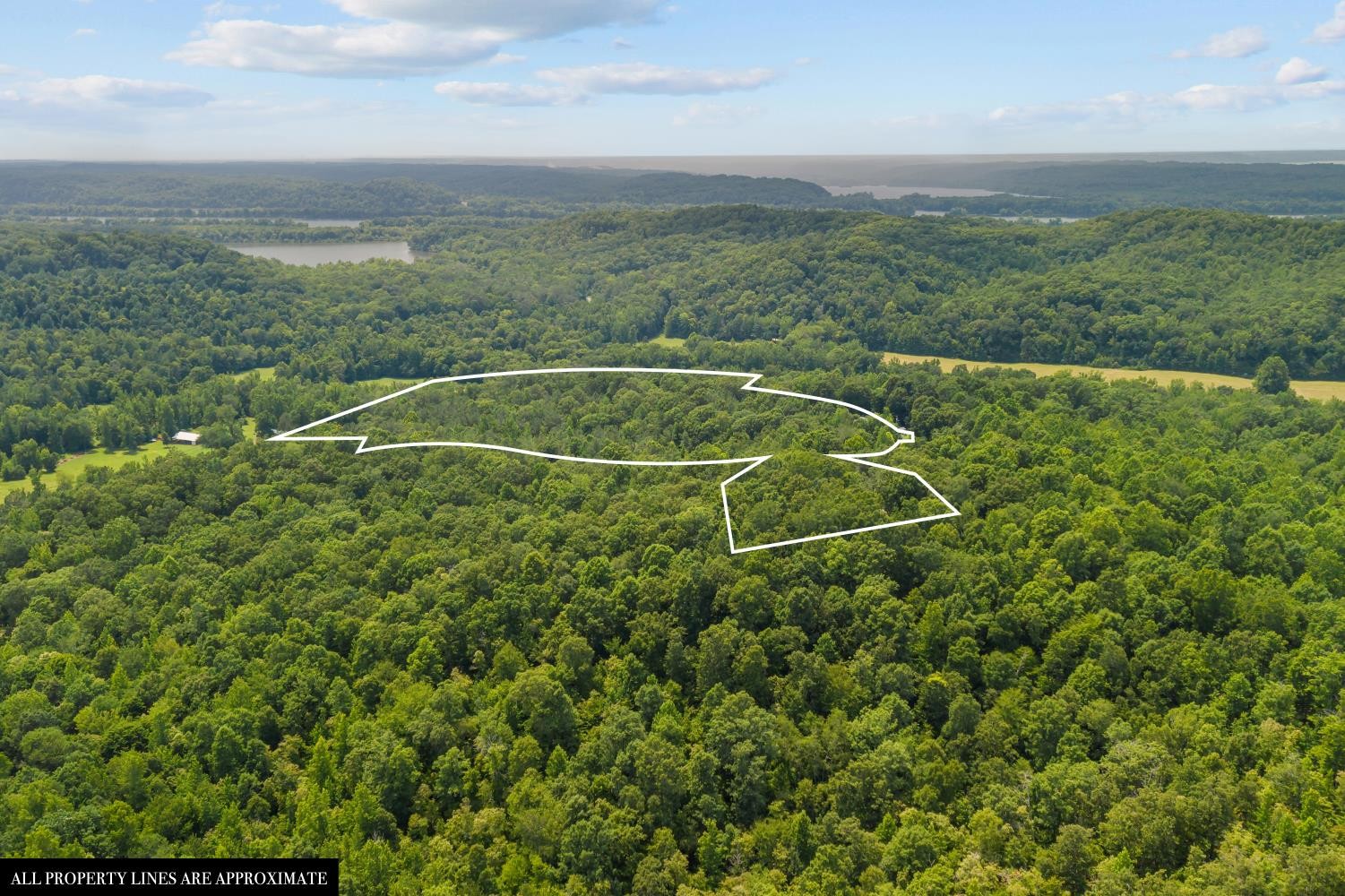 0 Roberts Creek Property Photo 15