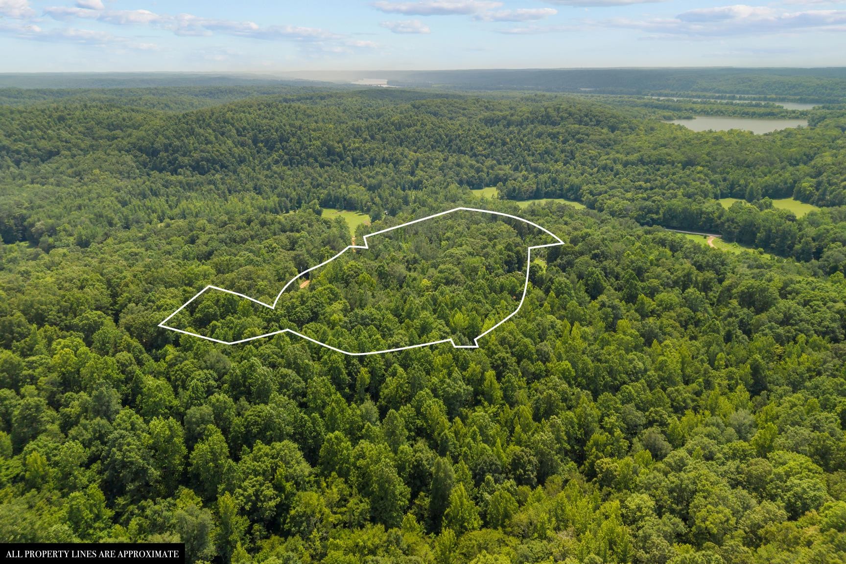 0 Roberts Creek Property Photo 17