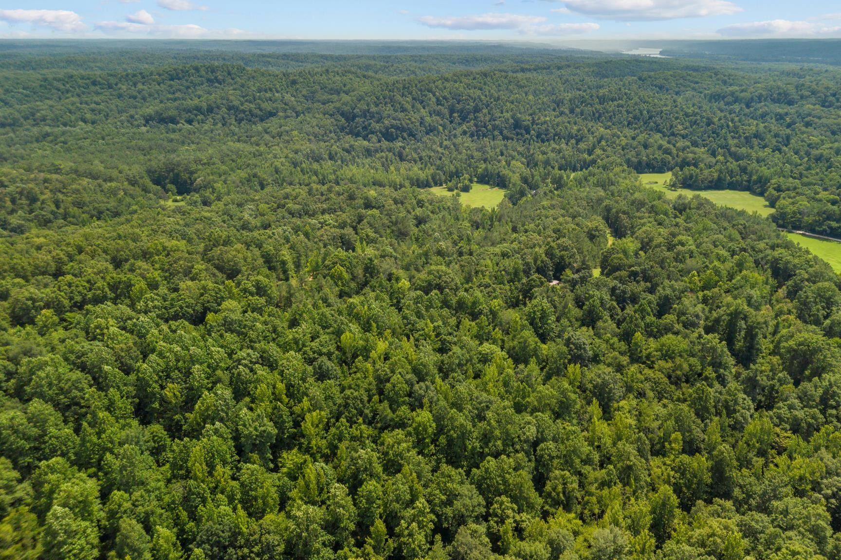 0 Roberts Creek Property Photo 18