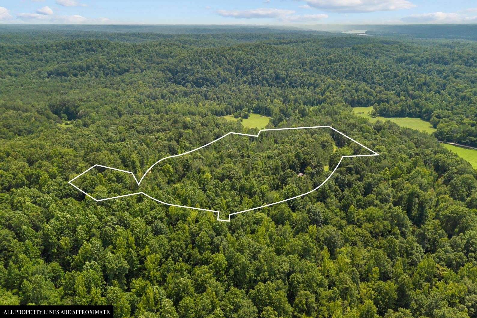 0 Roberts Creek Property Photo 19