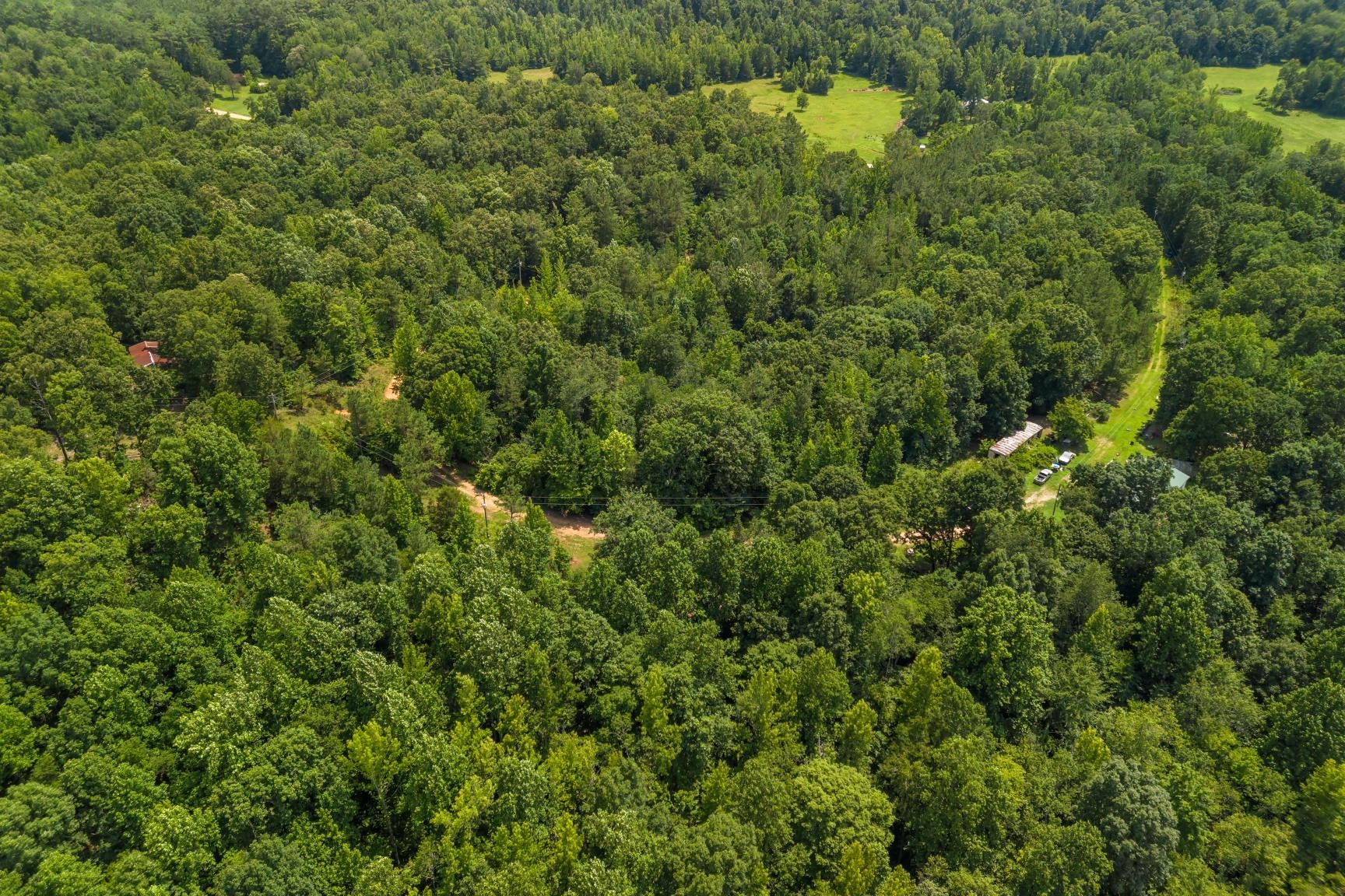 0 Roberts Creek Property Photo 20