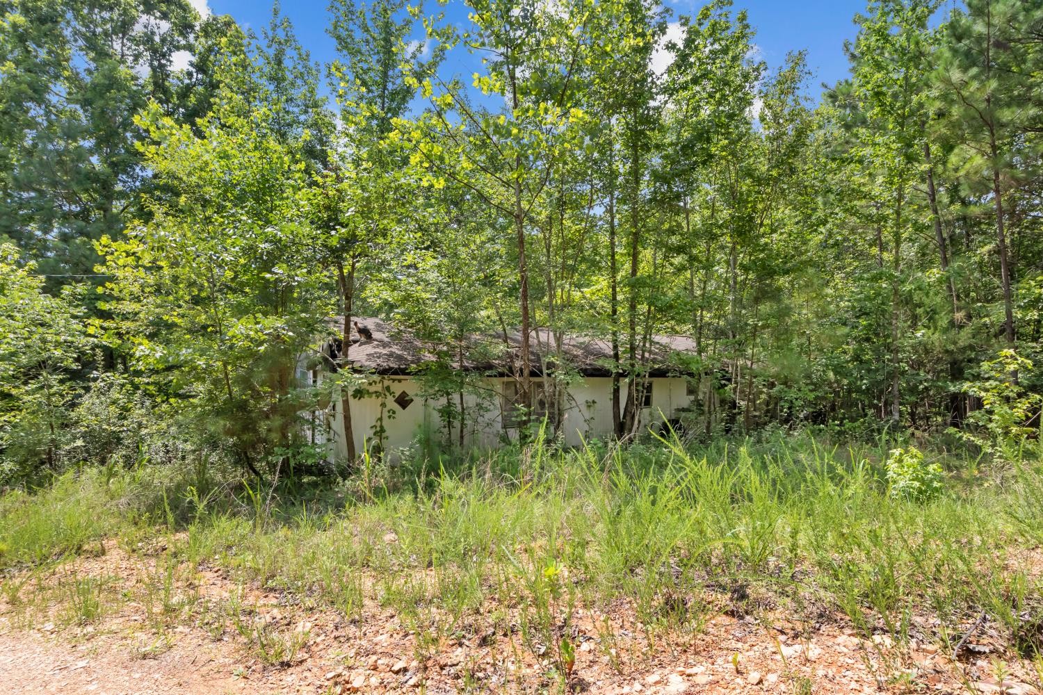 0 Roberts Creek Property Photo 21