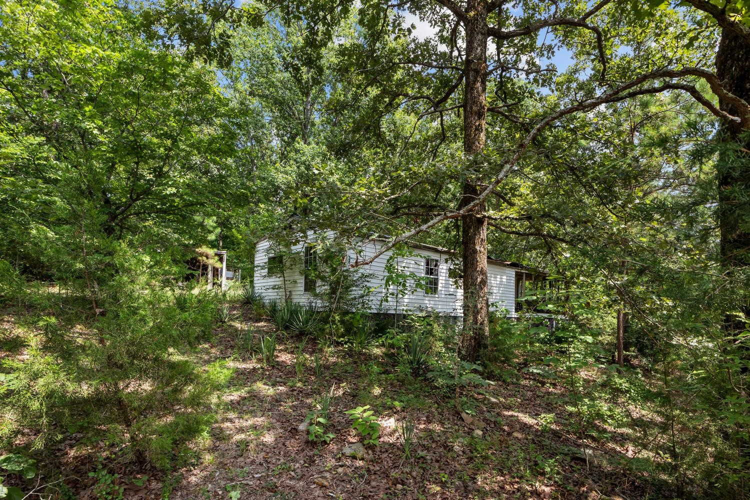 0 Roberts Creek Property Photo 22