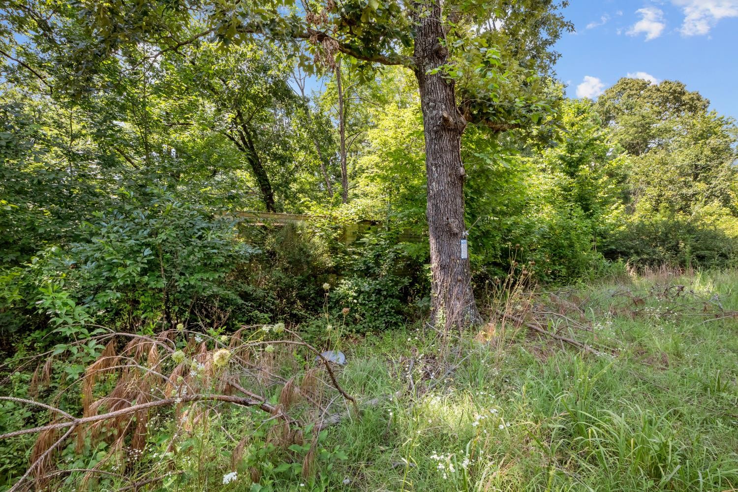 0 Roberts Creek Property Photo 29