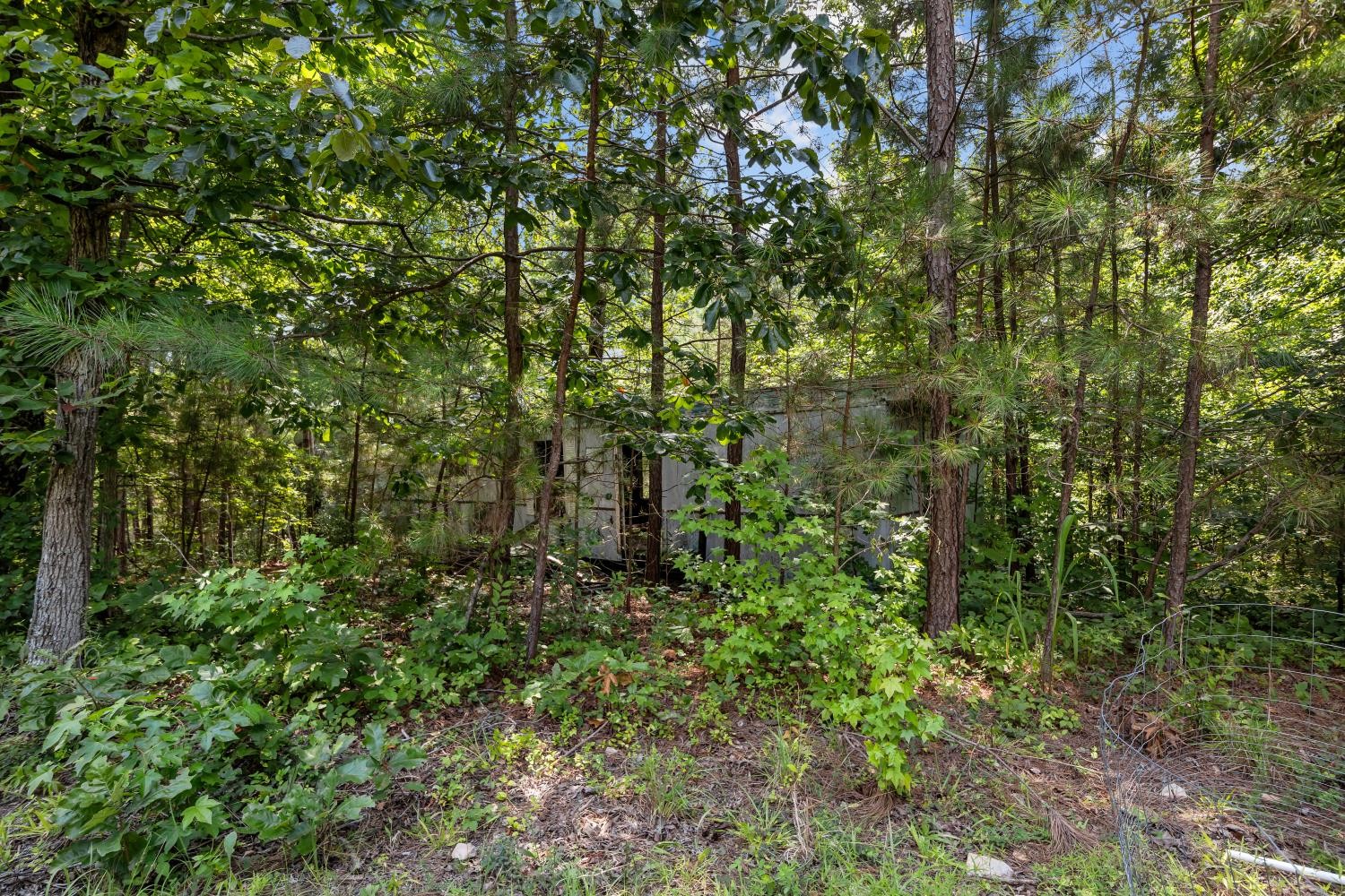 0 Roberts Creek Property Photo 32