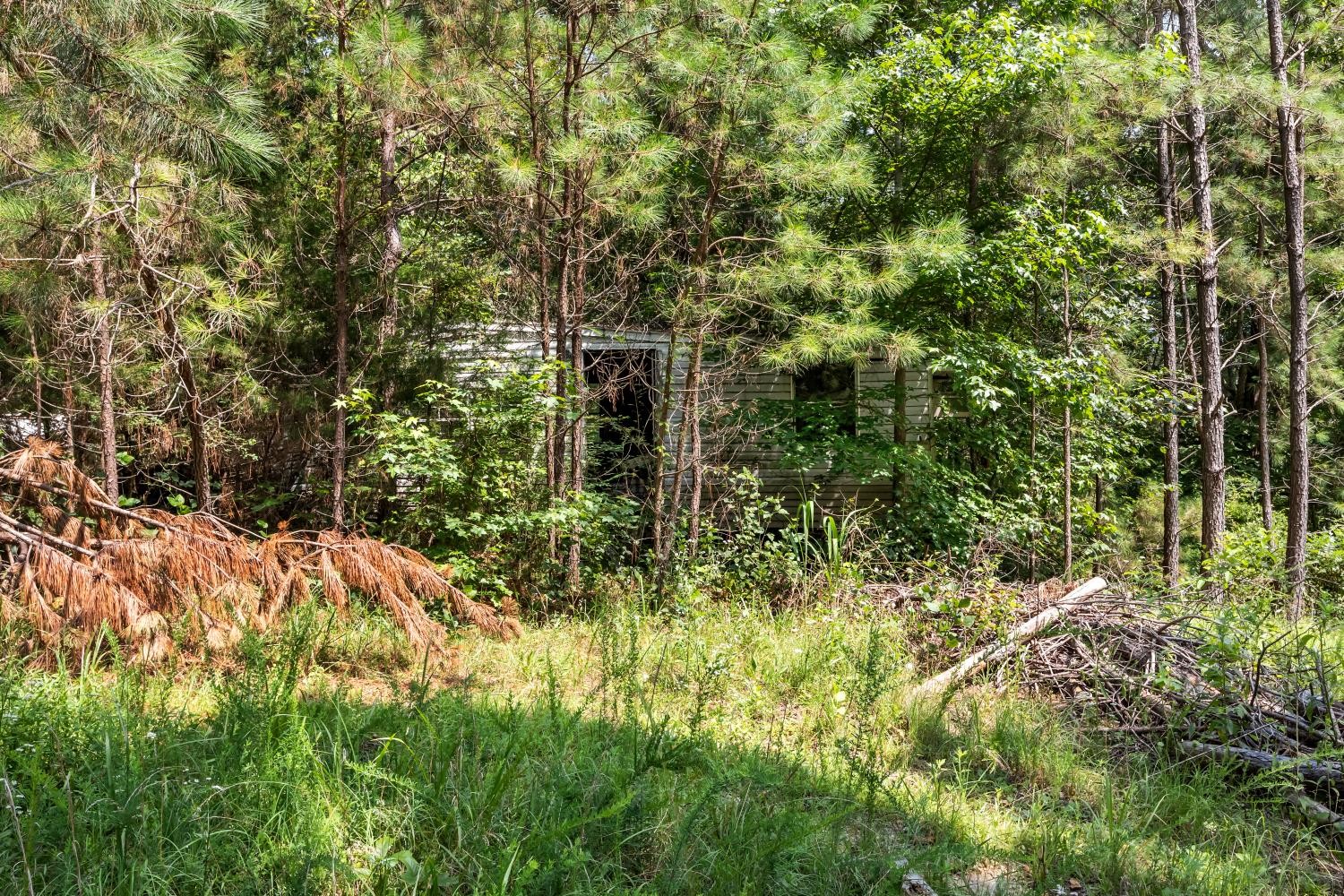 0 Roberts Creek Property Photo 33