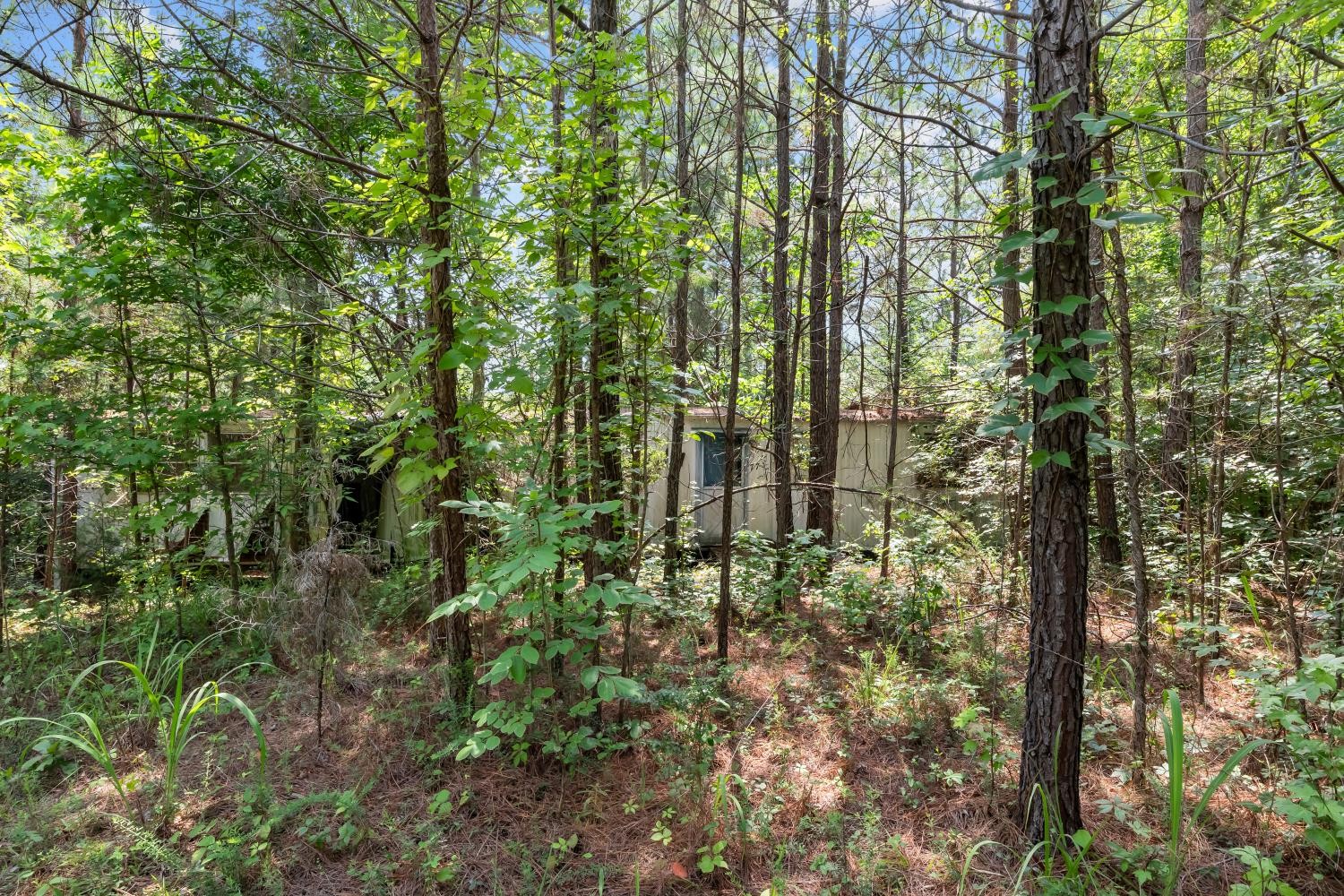 0 Roberts Creek Property Photo 34