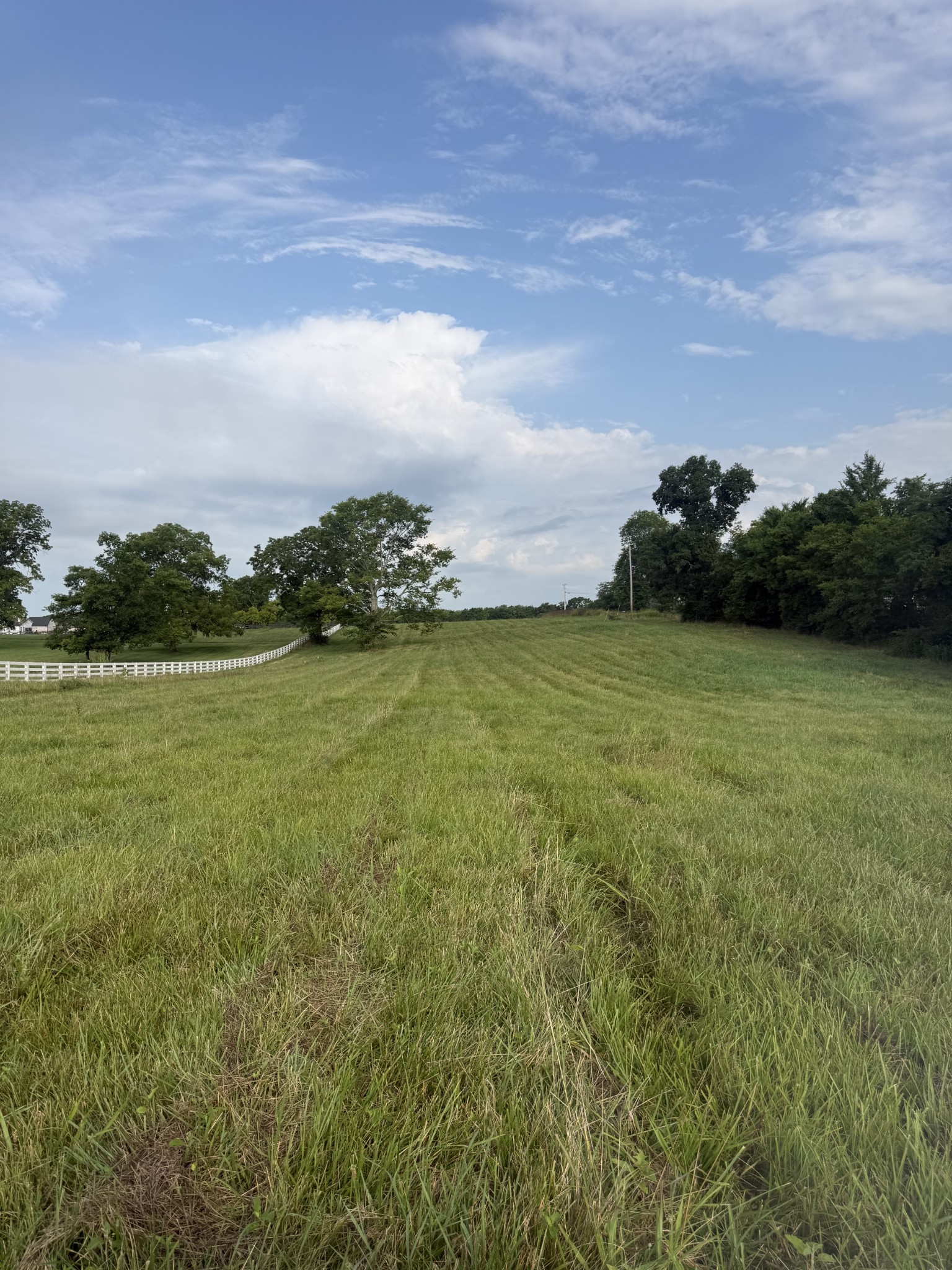 0 Chapel Hill Pike Property Photo 1