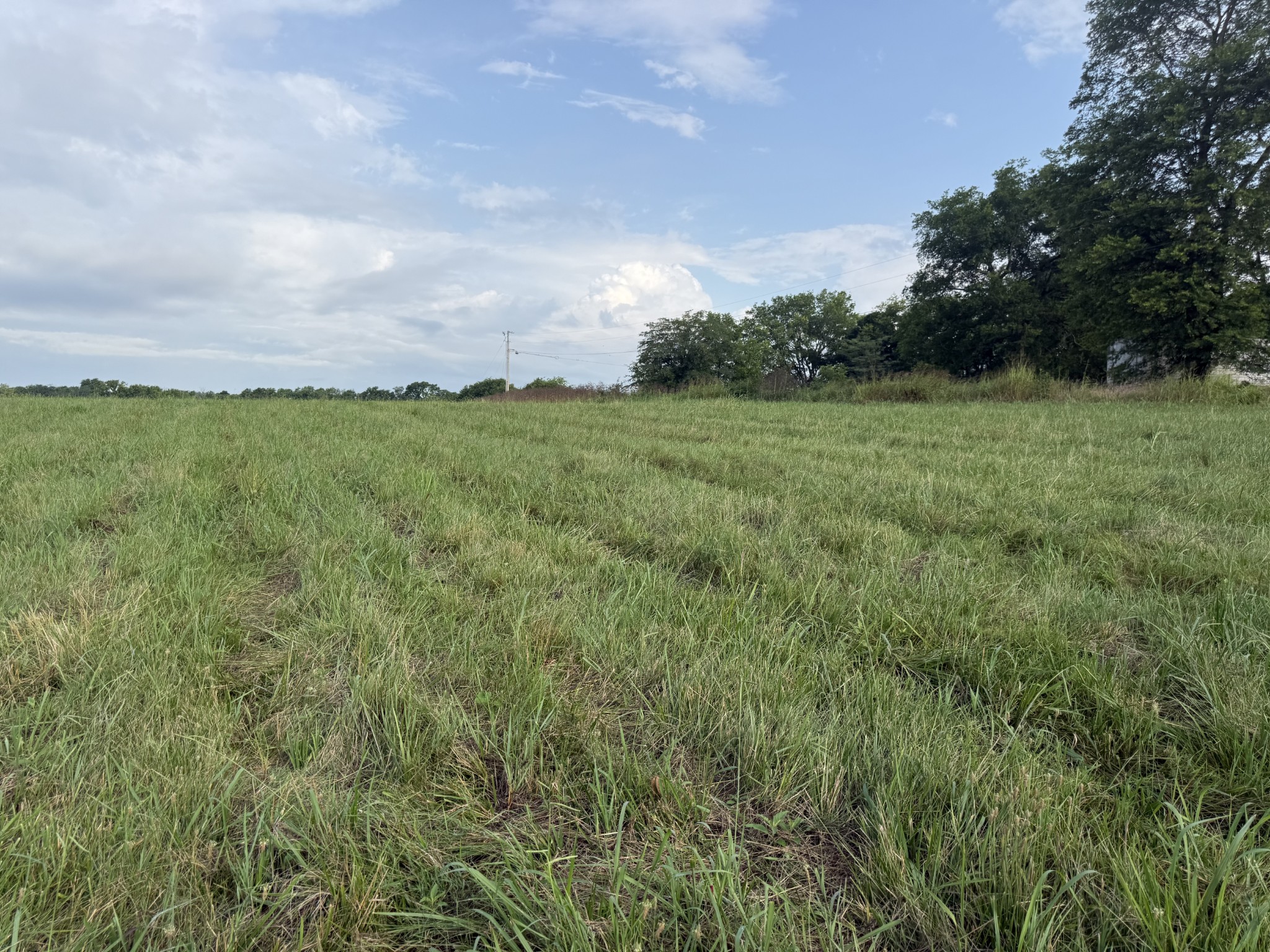 0 Chapel Hill Pike Property Photo 4