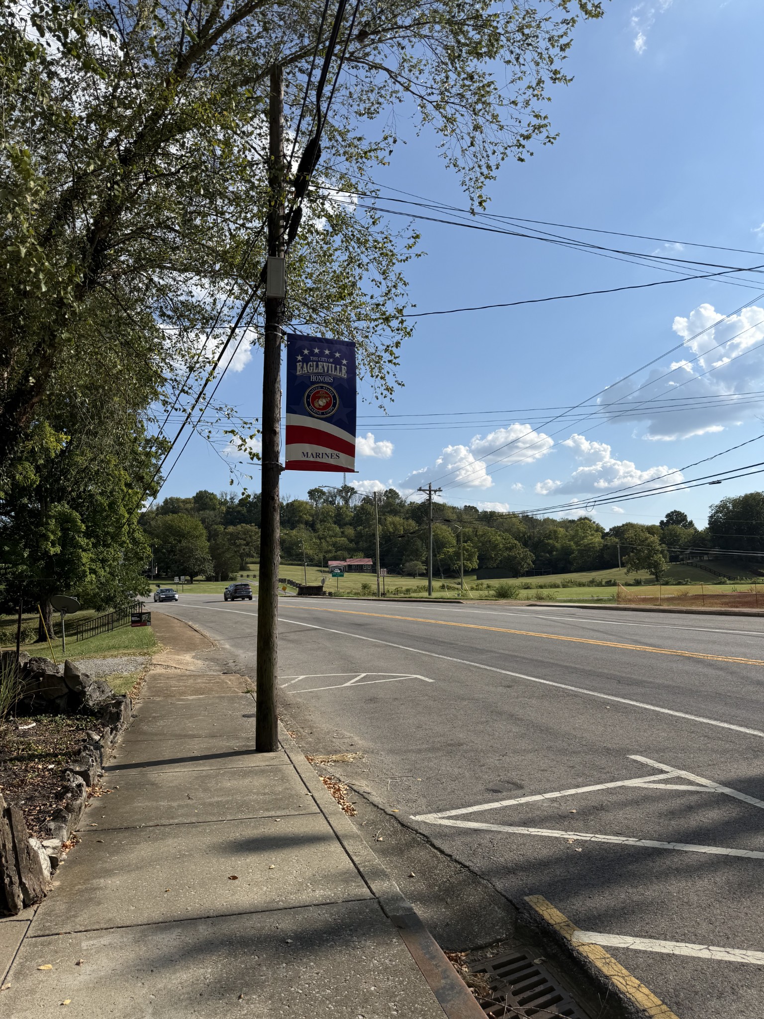0 Chapel Hill Pike Property Photo 18