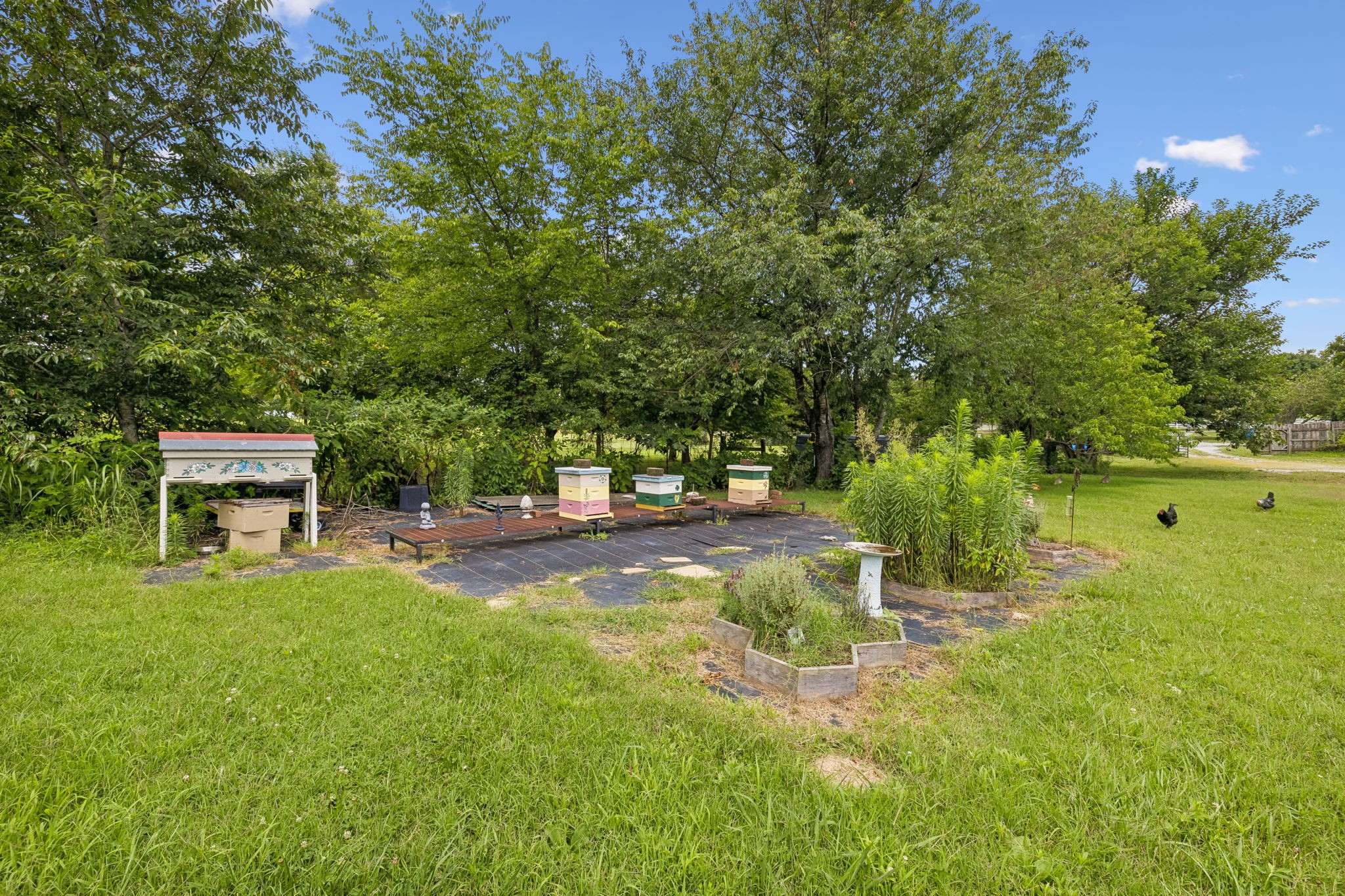 3384 Maxie Jones Rd Property Photo 43