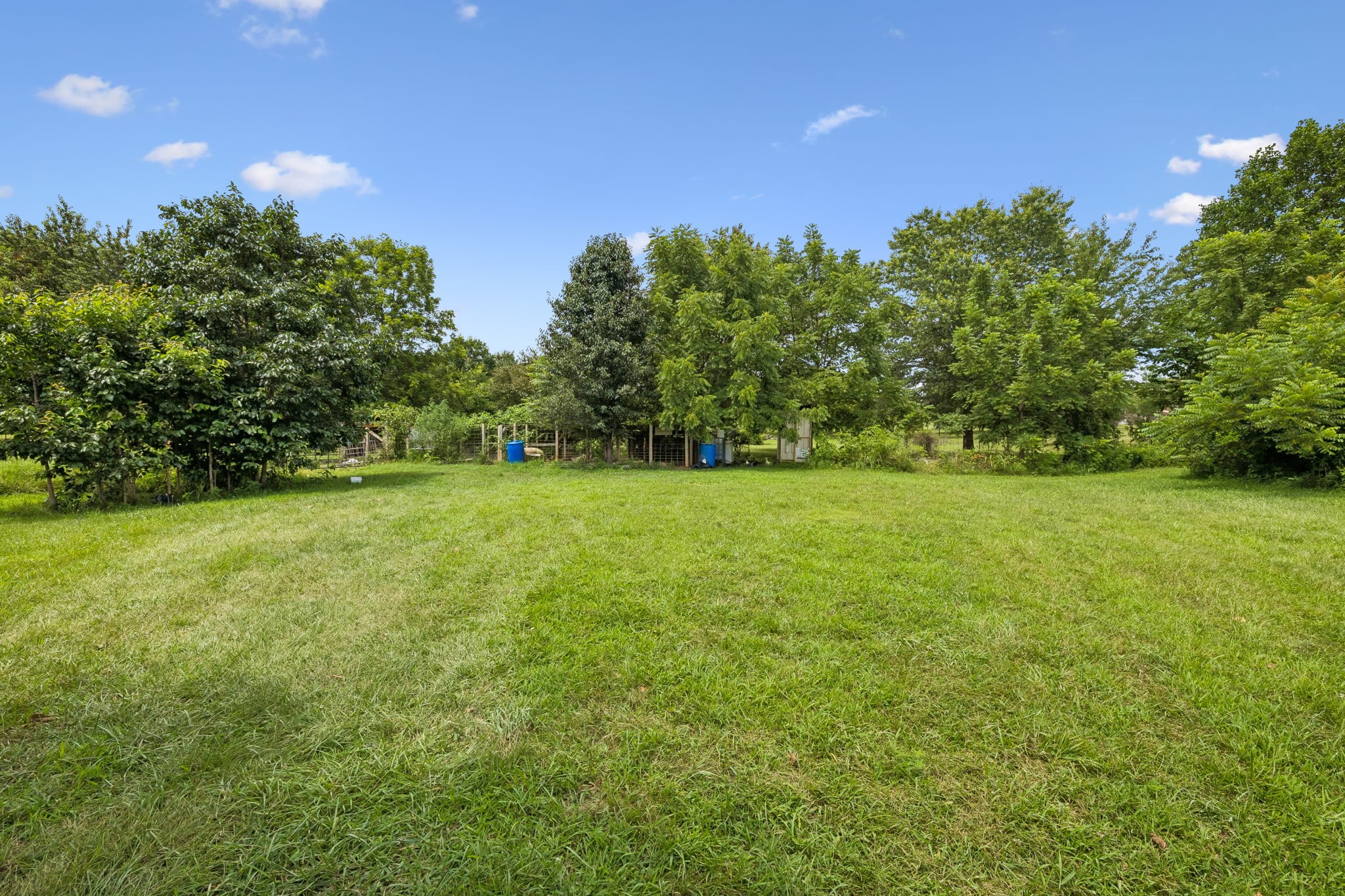 3384 Maxie Jones Rd Property Photo 48