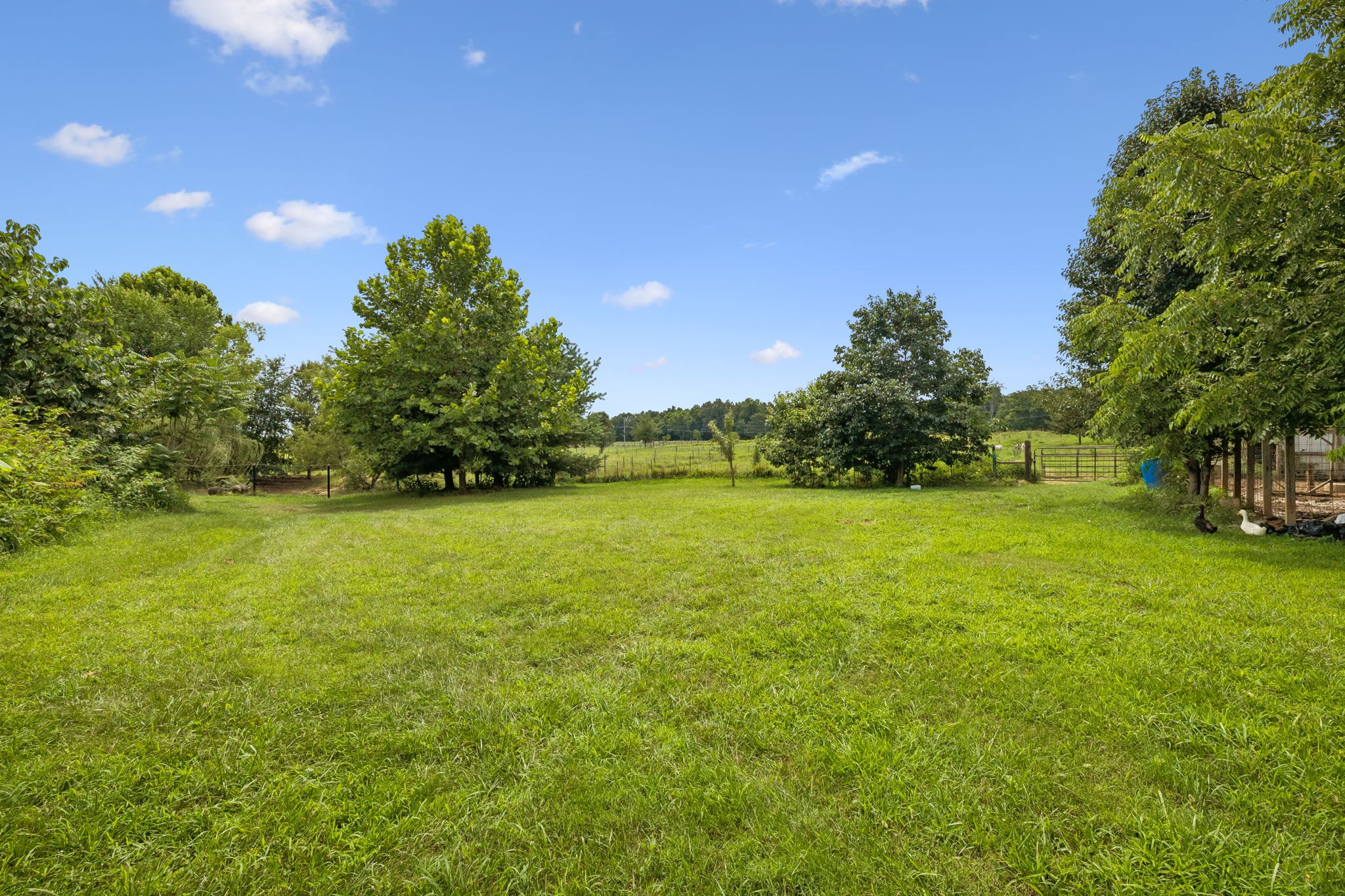 3384 Maxie Jones Rd Property Photo 49