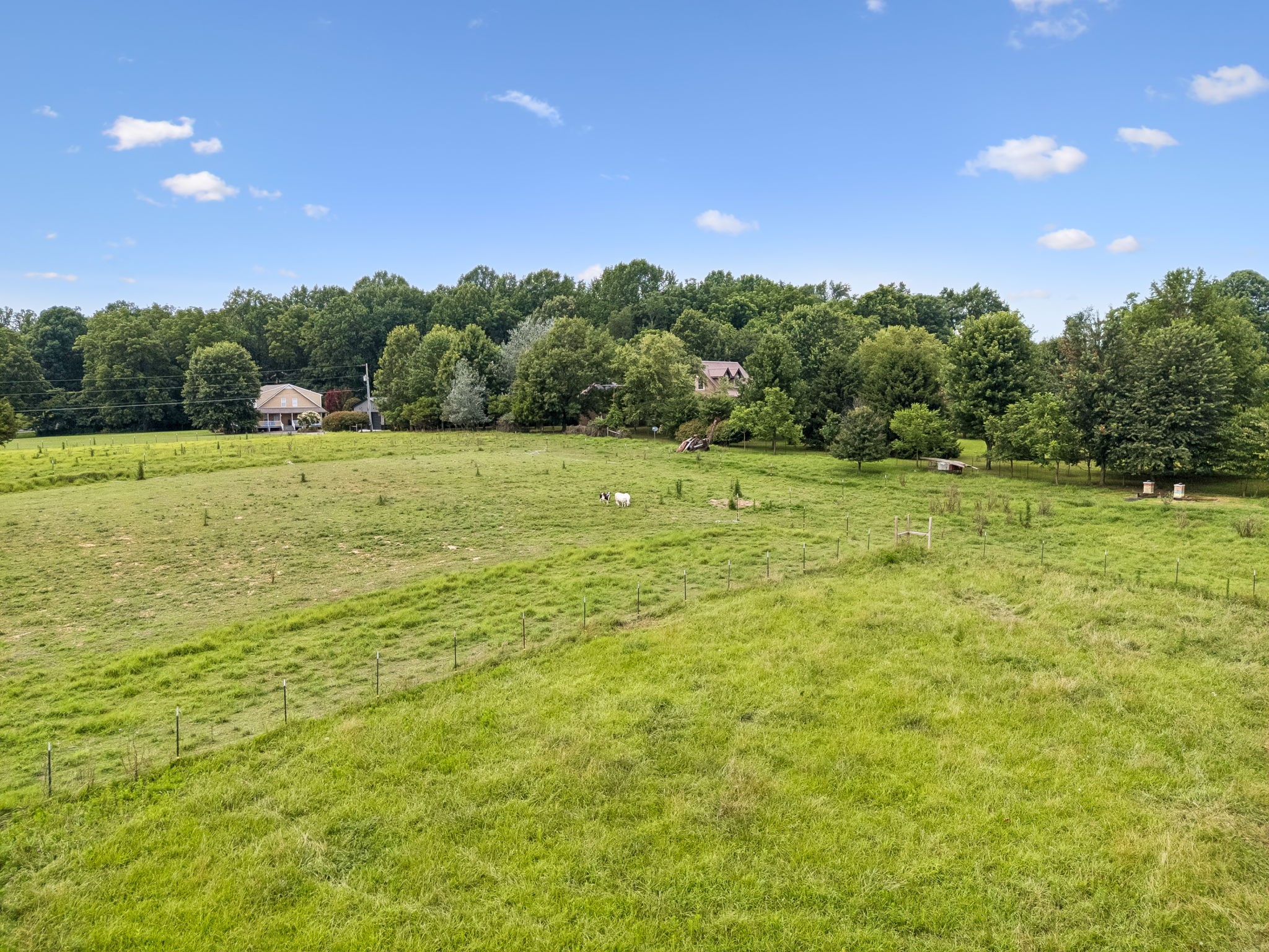 3384 Maxie Jones Rd Property Photo 59