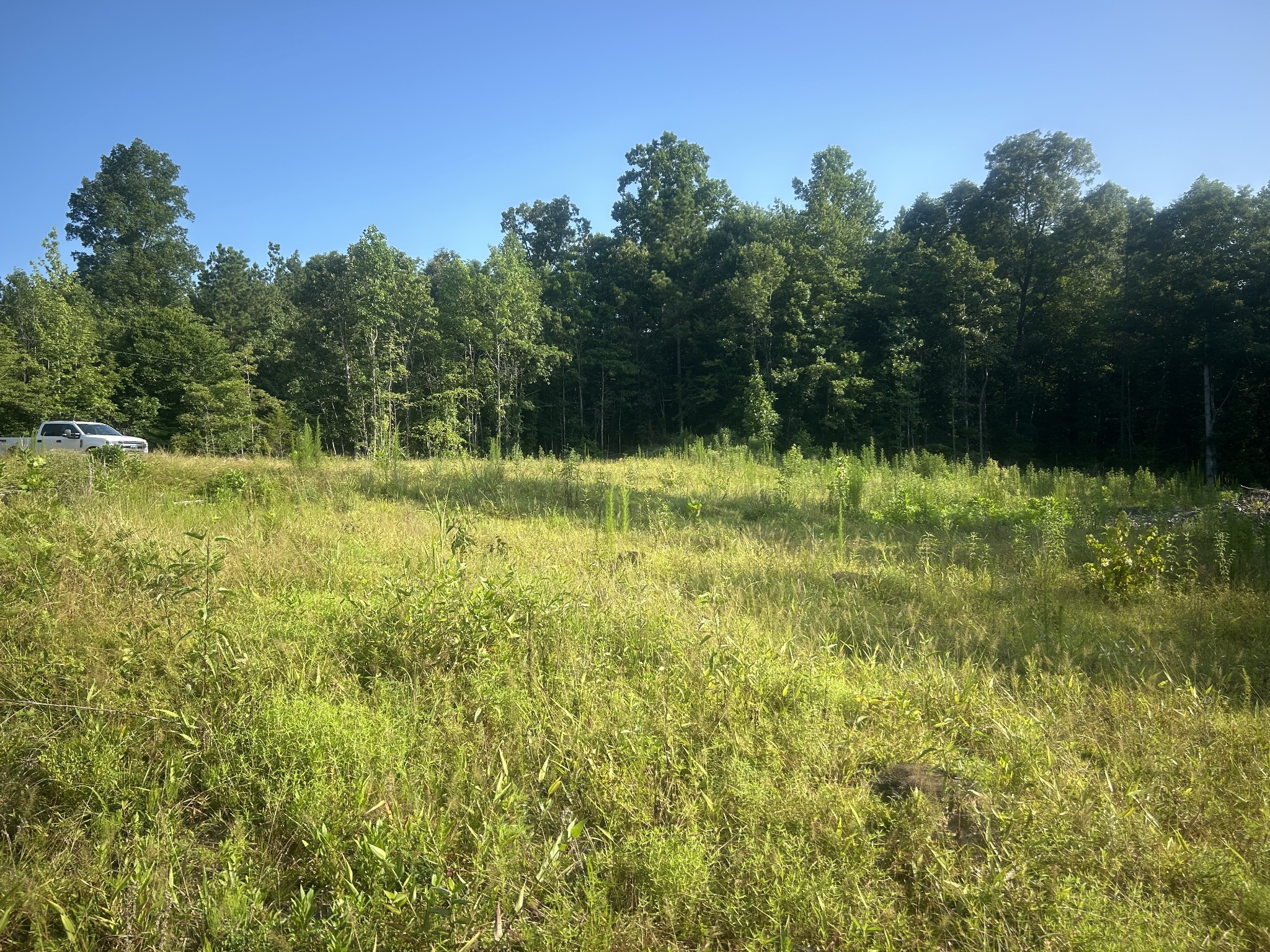 2853 Old Natchez Trace Trail Property Photo 1