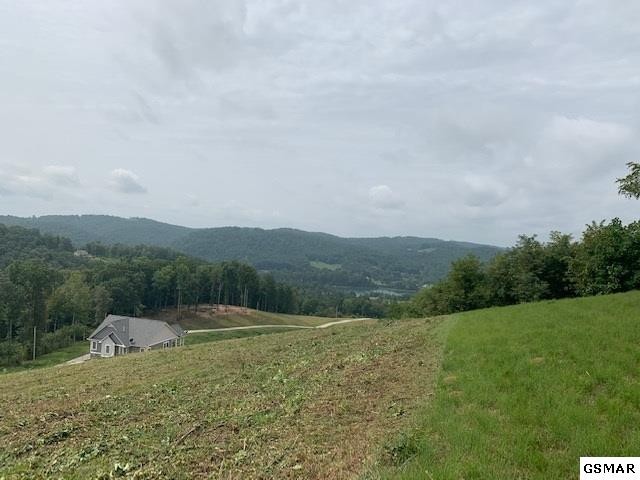 11 Mountain Way Property Photo 1