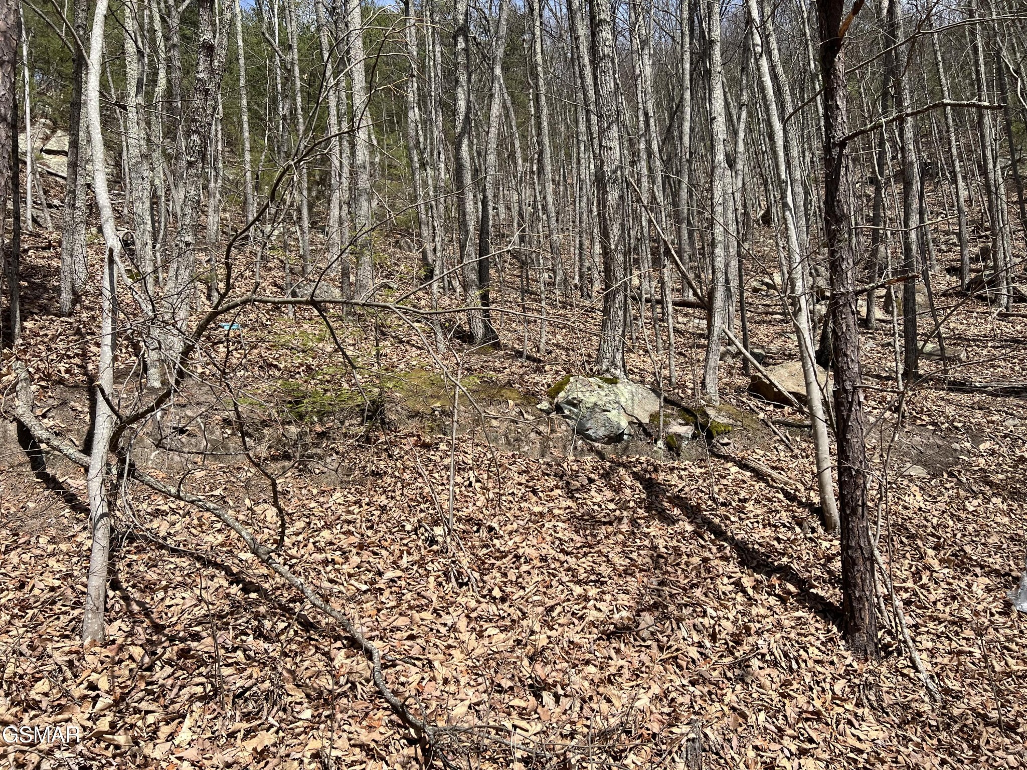 18 Clingmans View Property Photo 1