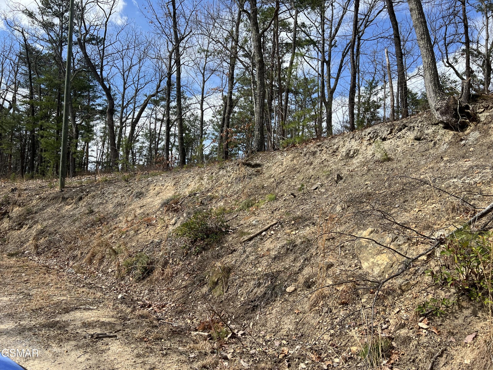 1011 Chestnut Ridge Court Property Photo 1