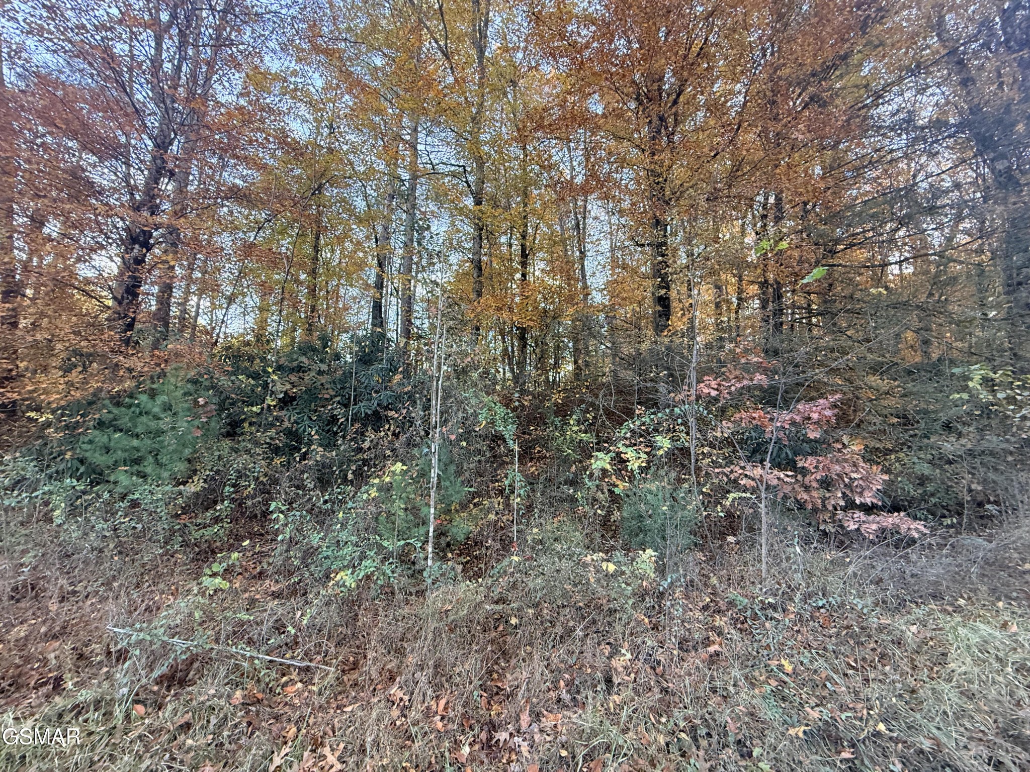 4243 Deerfoot Road Property Photo 1