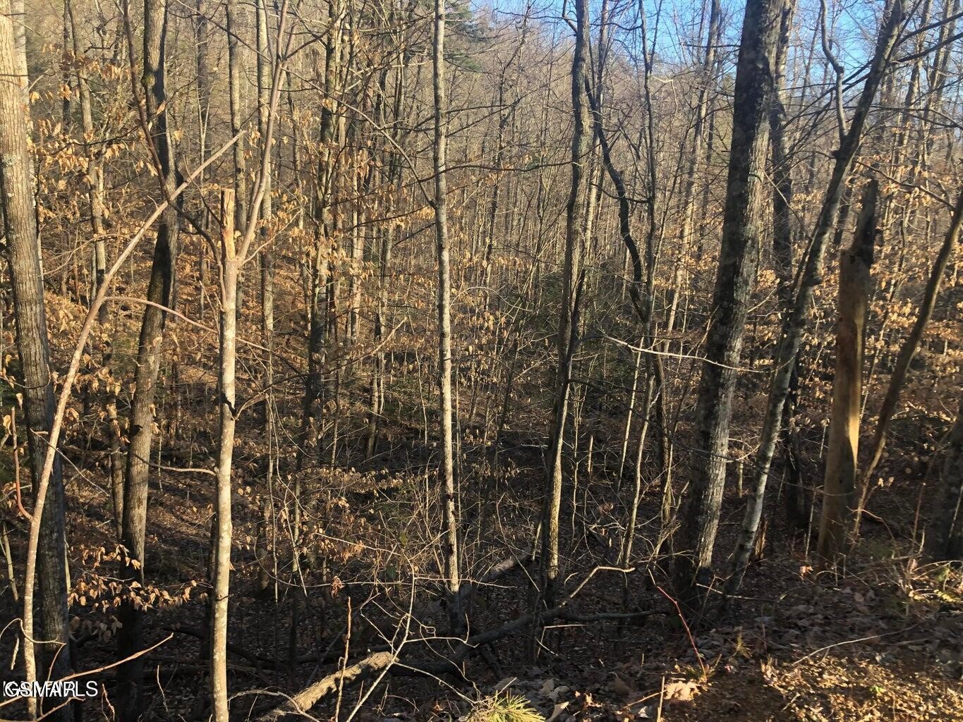 68 Yellowwood Drive Property Photo 2