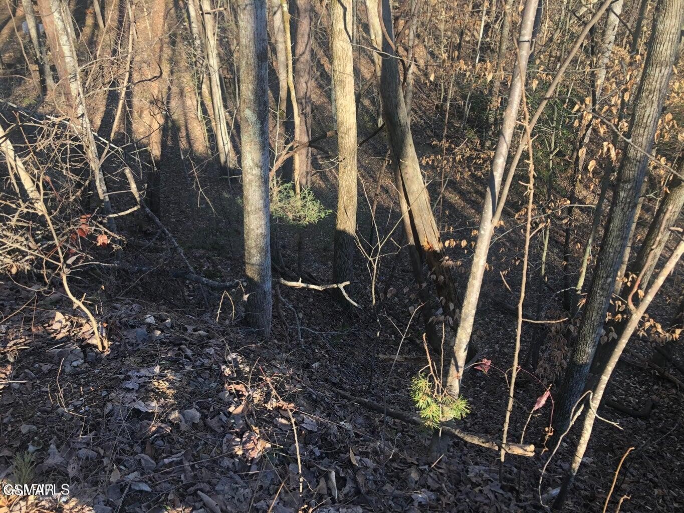 68 Yellowwood Drive Property Photo 3