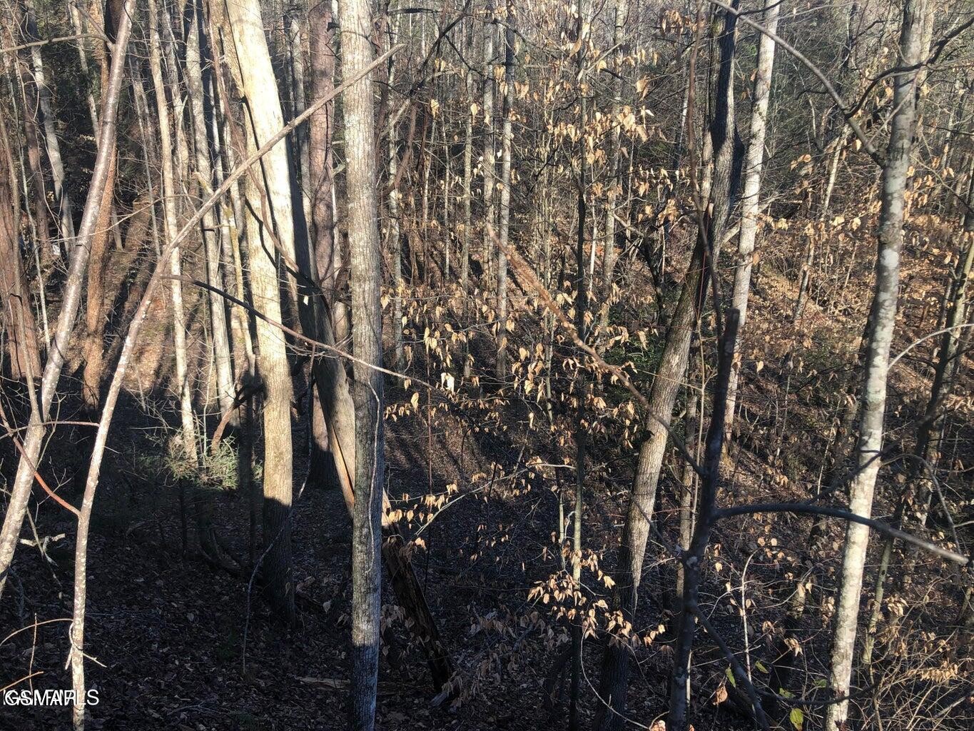 68 Yellowwood Drive Property Photo 7
