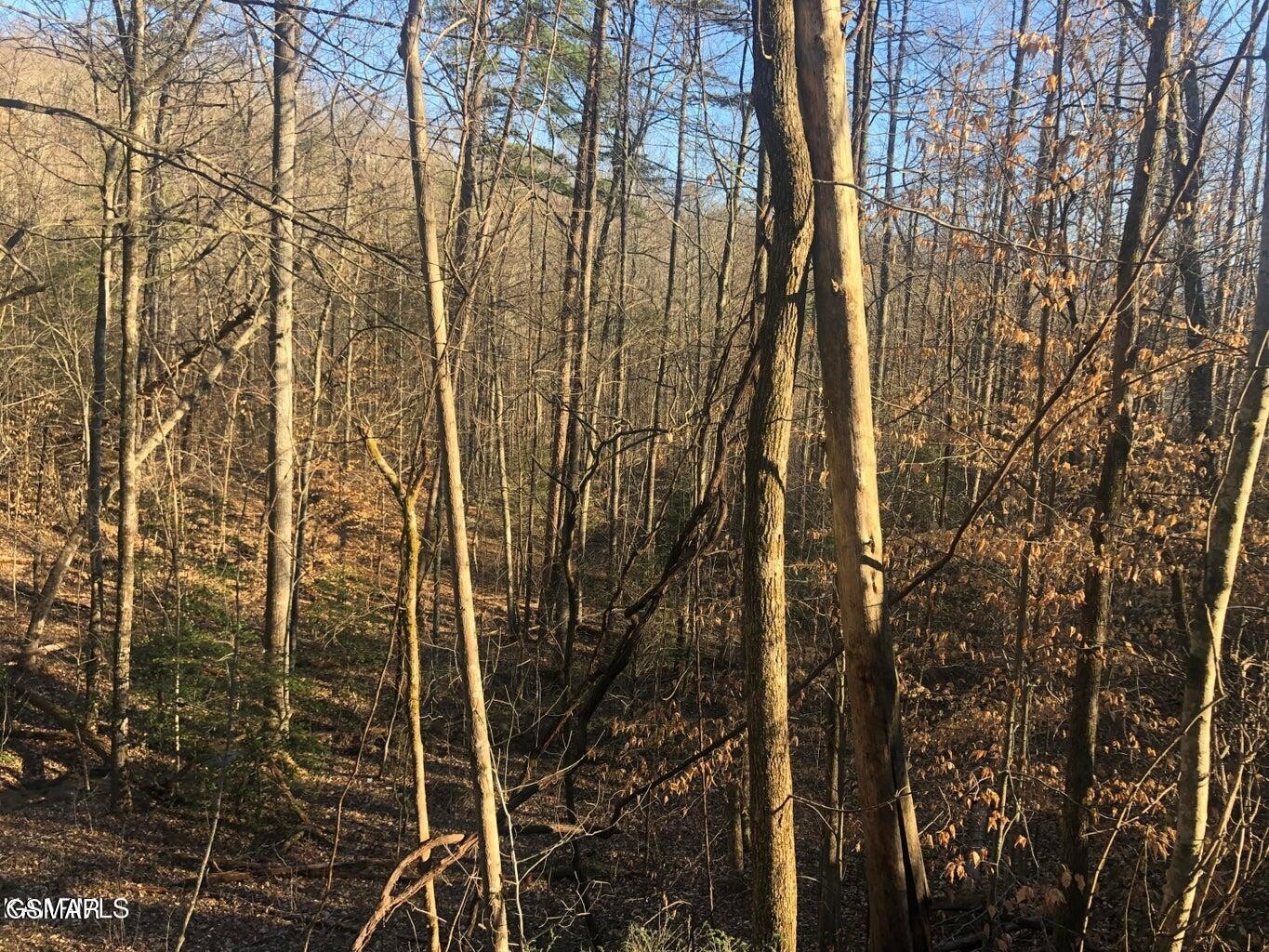 68 Yellowwood Drive Property Photo 9