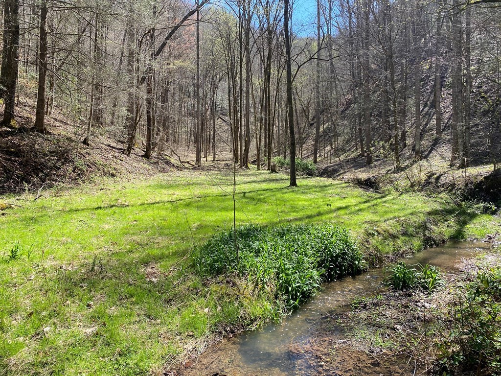 0 Valley Springs Way Property Photo 3