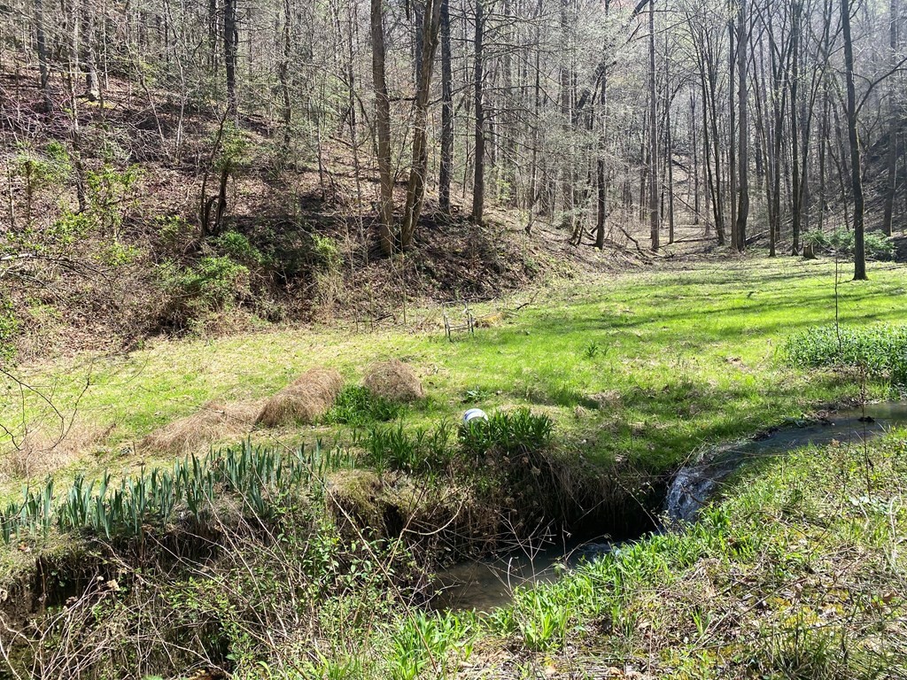 0 Valley Springs Way Property Photo 5