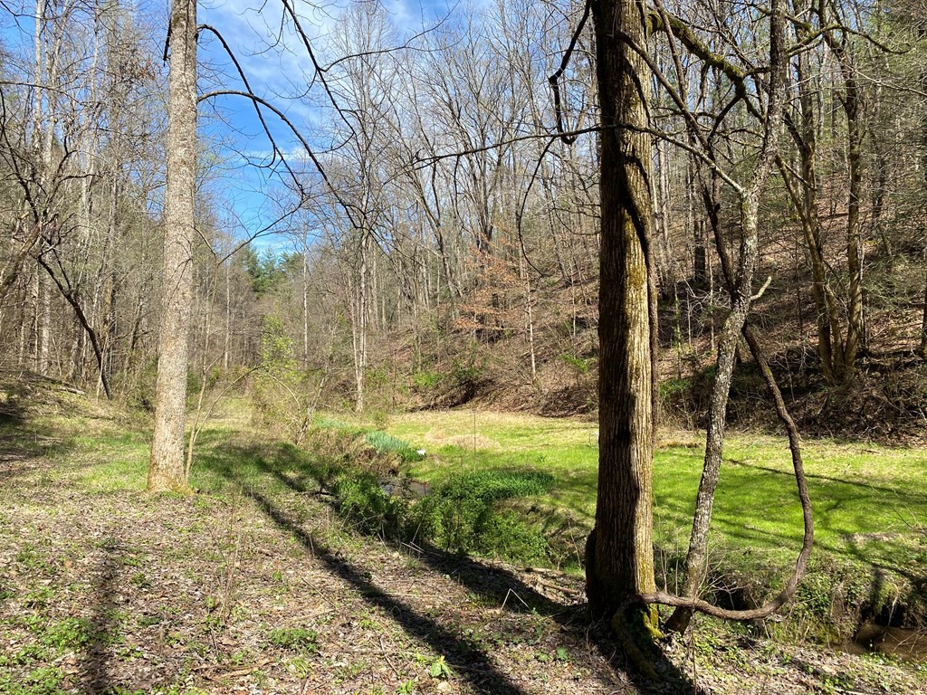 0 Valley Springs Way Property Photo 6