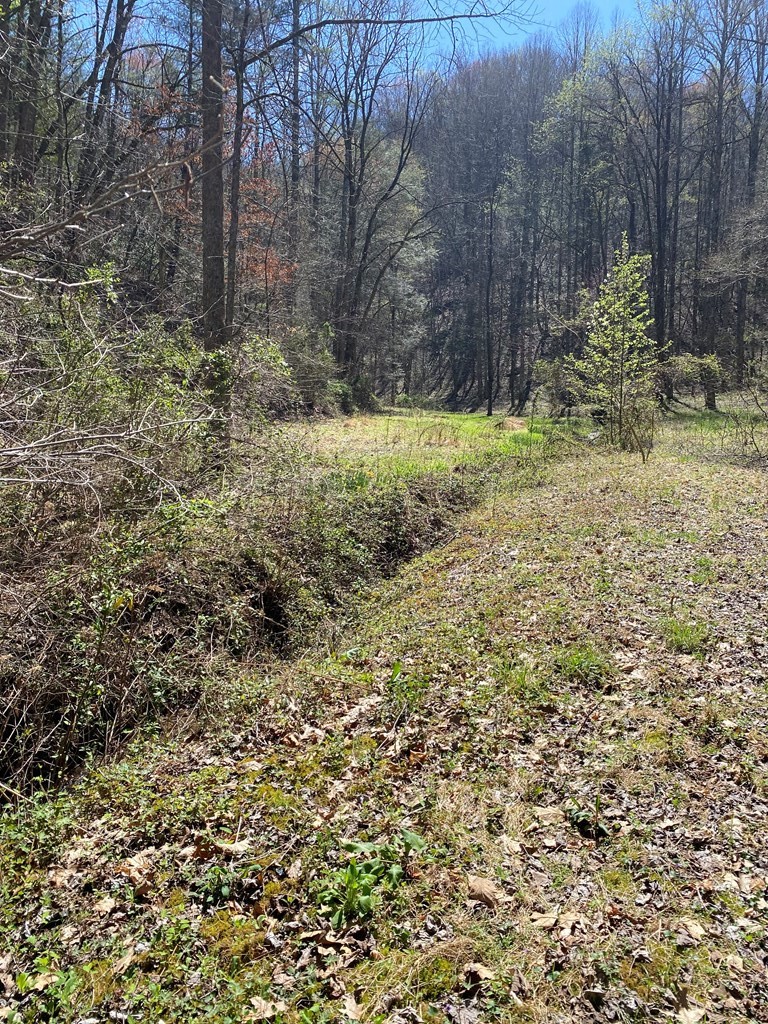 0 Valley Springs Way Property Photo 8
