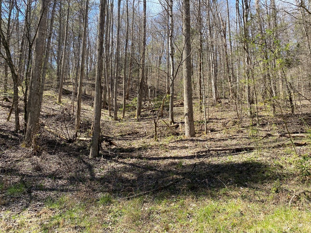 0 Valley Springs Way Property Photo 9