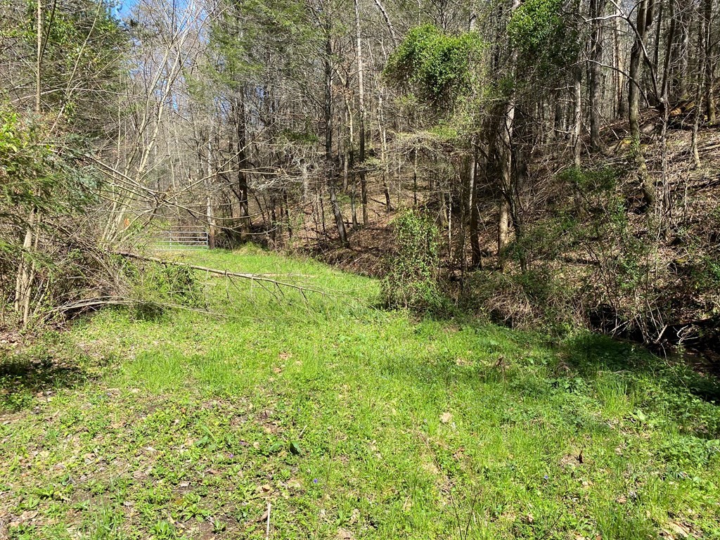 0 Valley Springs Way Property Photo 11