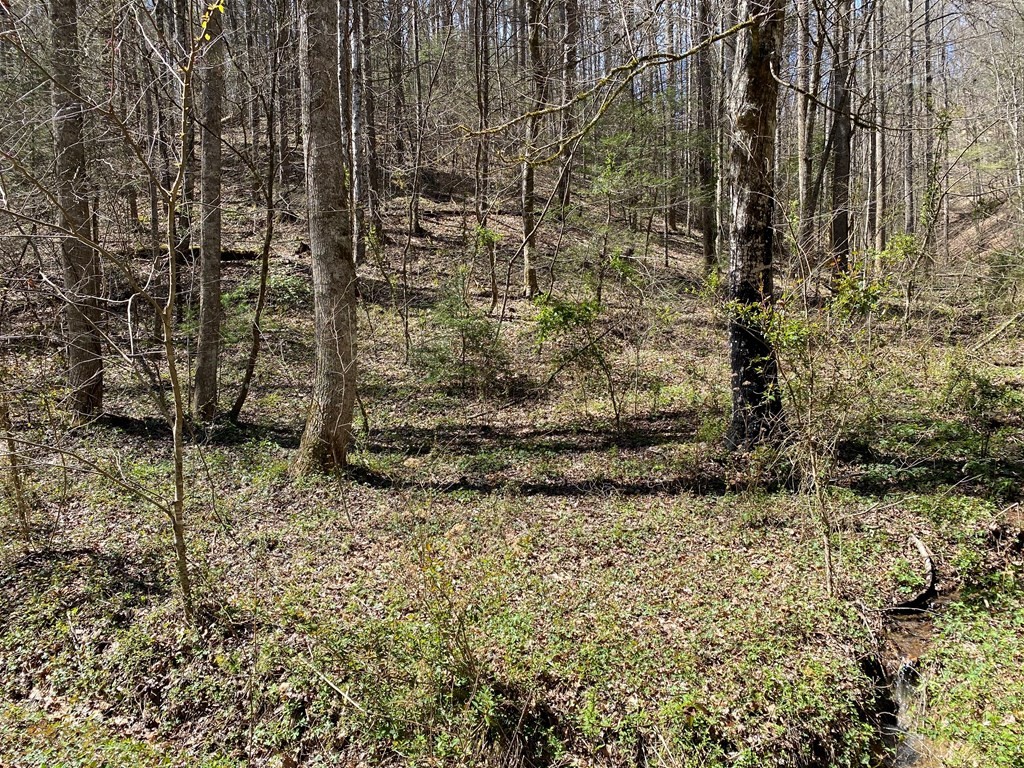 0 Valley Springs Way Property Photo 22