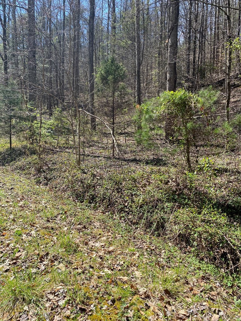 0 Valley Springs Way Property Photo 25