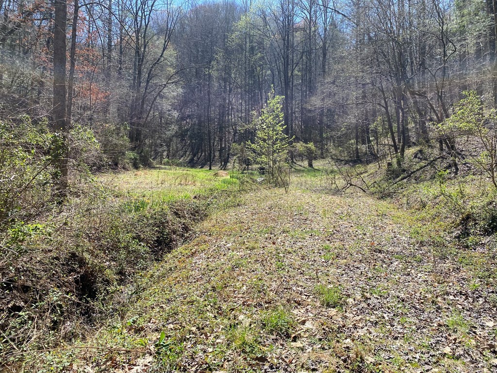 0 Valley Springs Way Property Photo 29