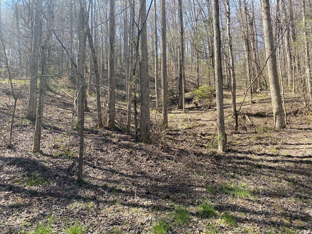 0 Valley Springs Way Property Photo 37