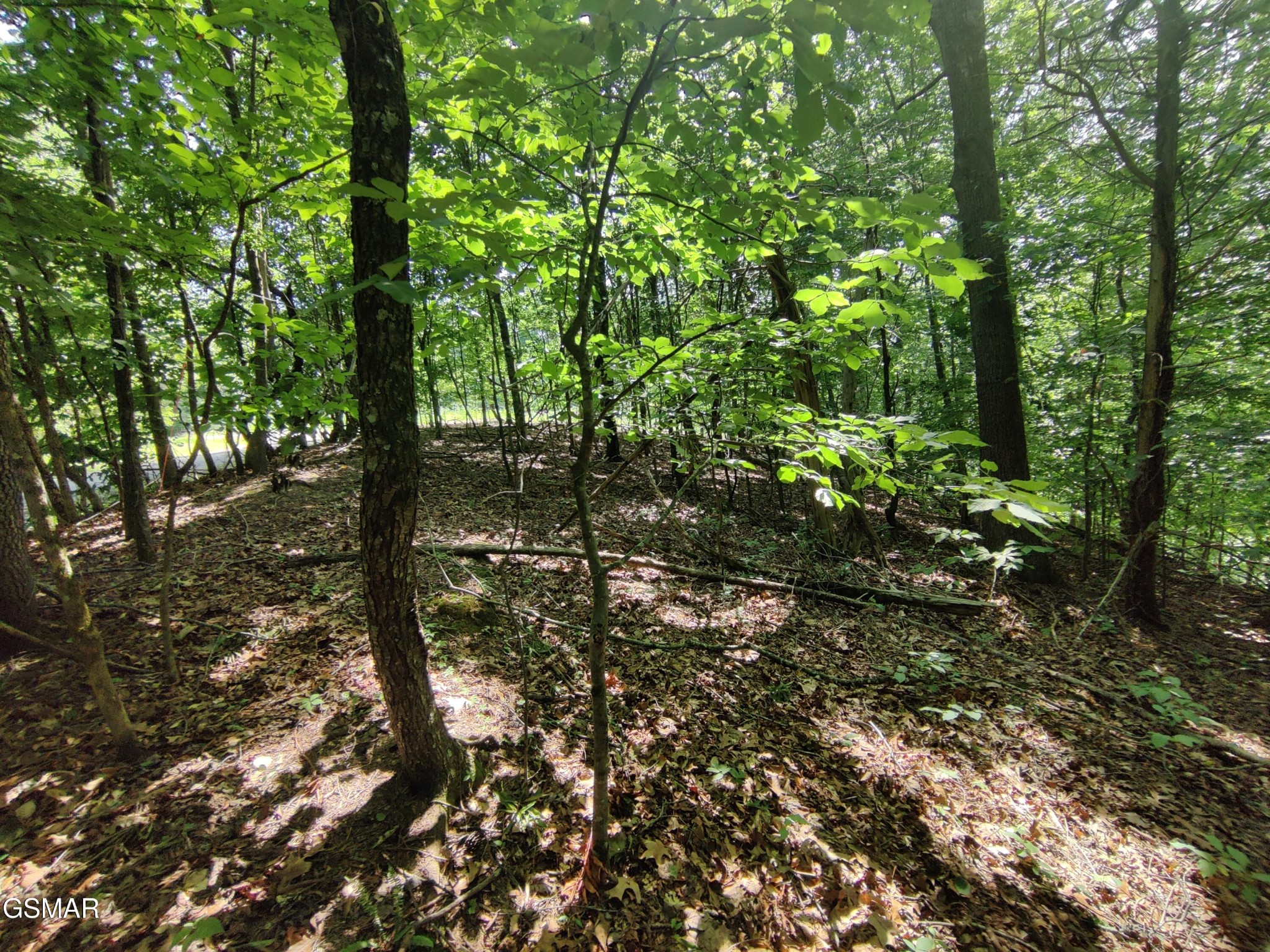 3347 Mountain View Lane Property Photo 5