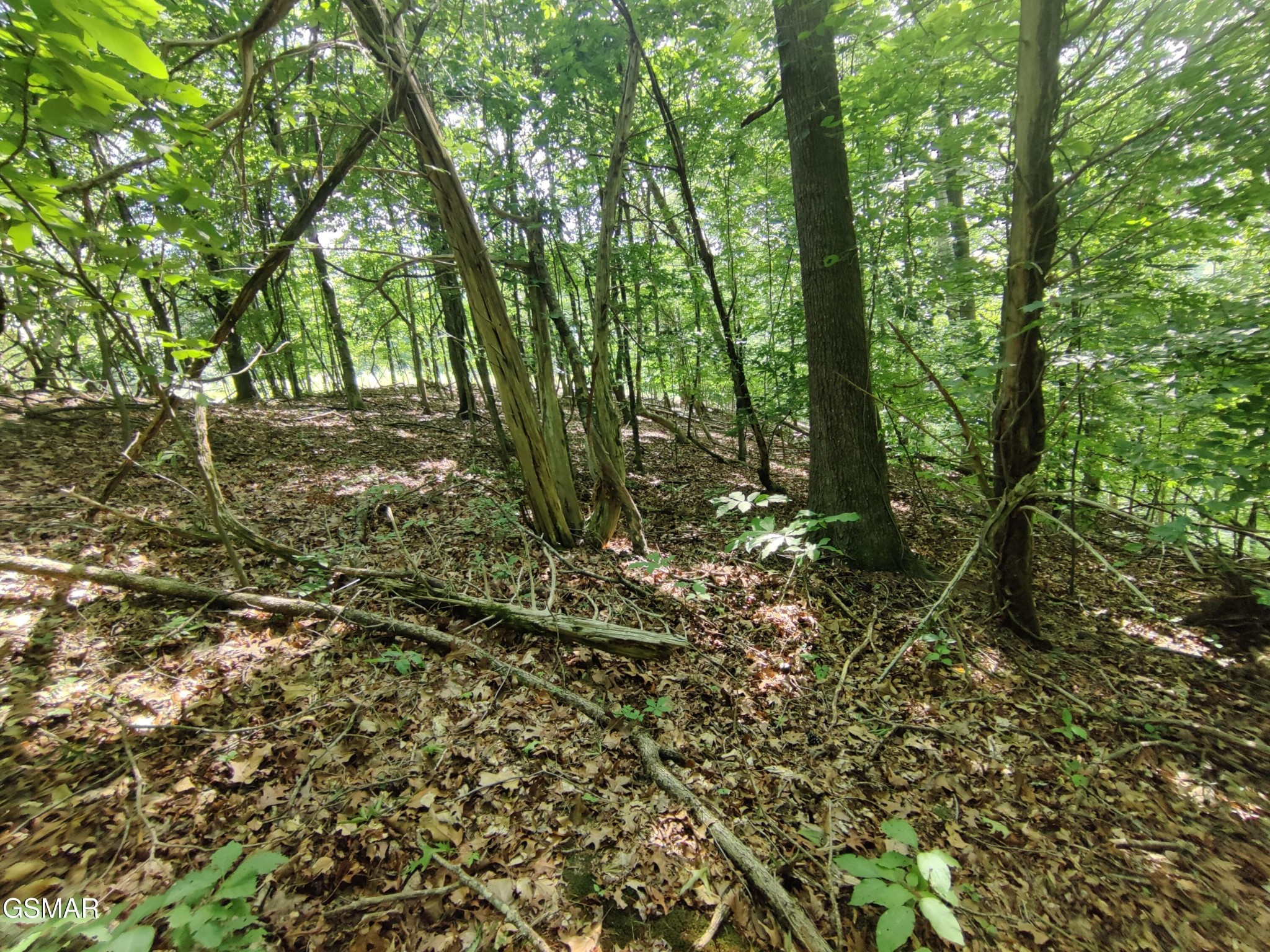 3347 Mountain View Lane Property Photo 6