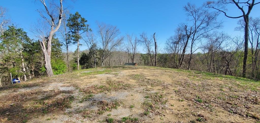 331 Chestnut Ridge Property Photo 1