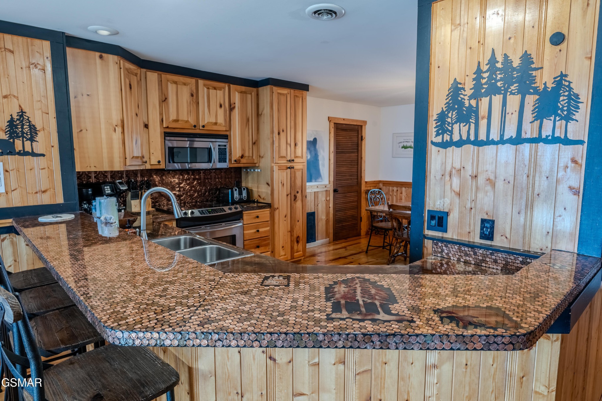 1130 Ski View Drive Property Photo 9