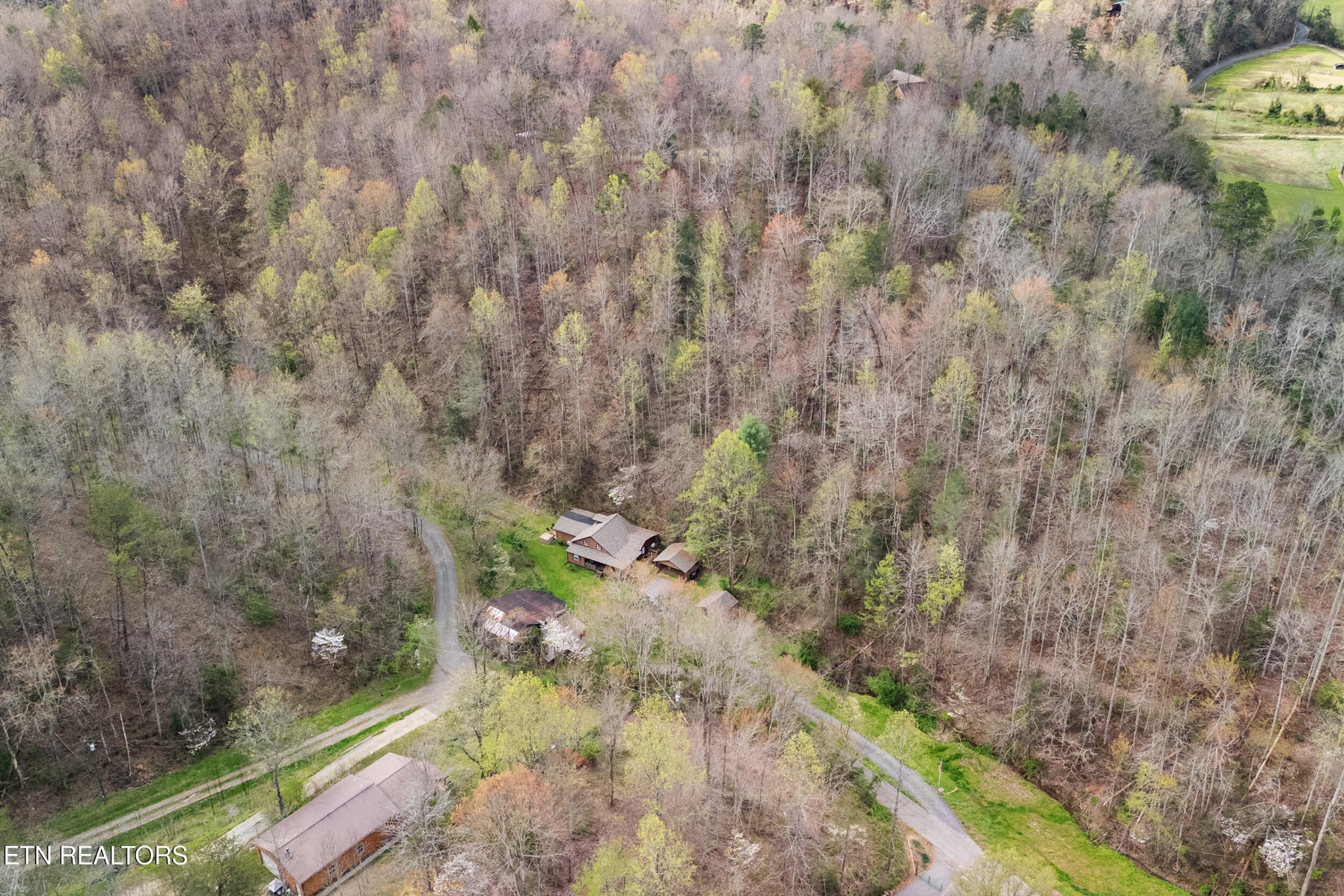 4346 Grindstone Ridge Rd Property Photo 31