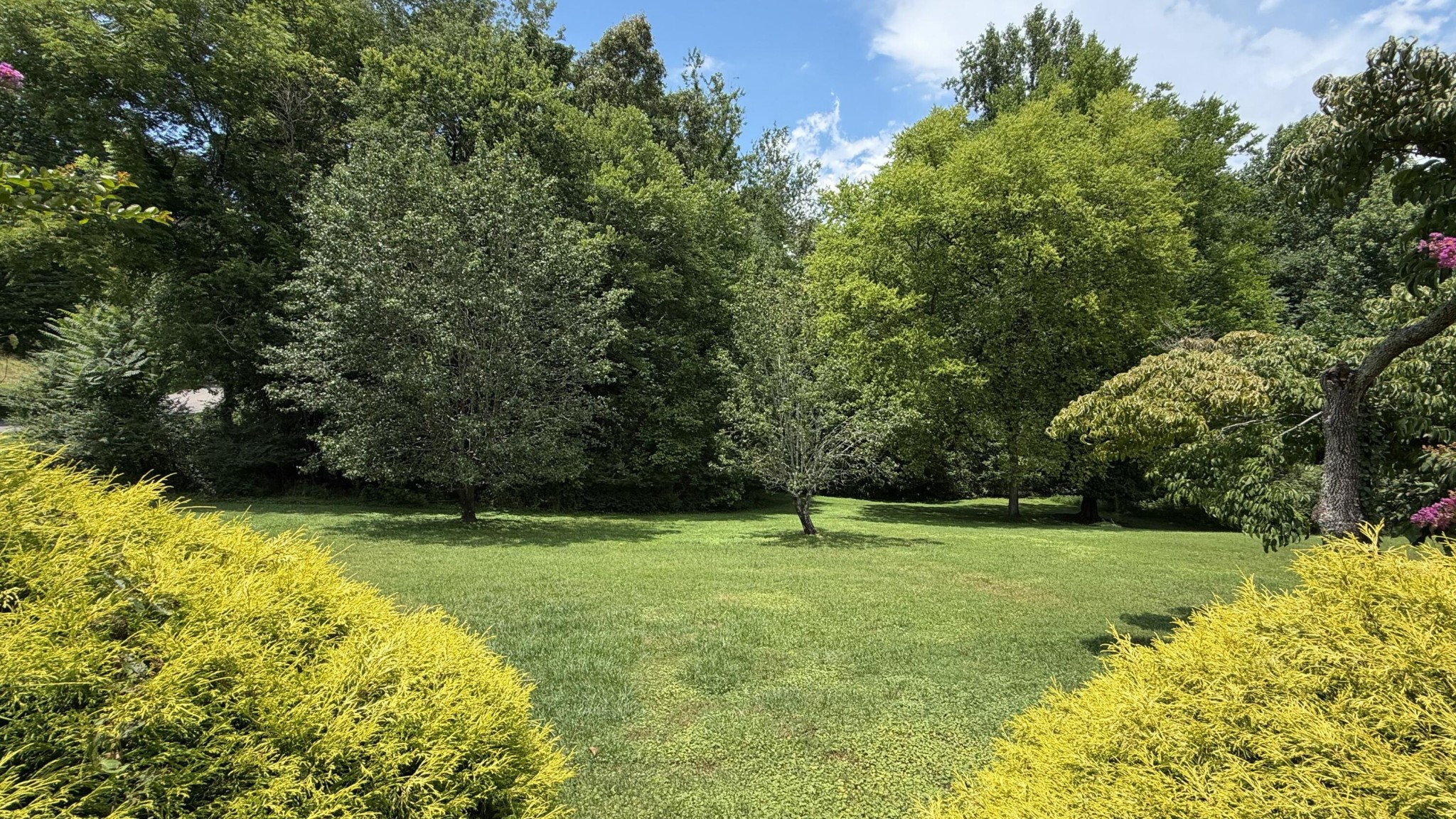111 Hutton Court Property Photo 37