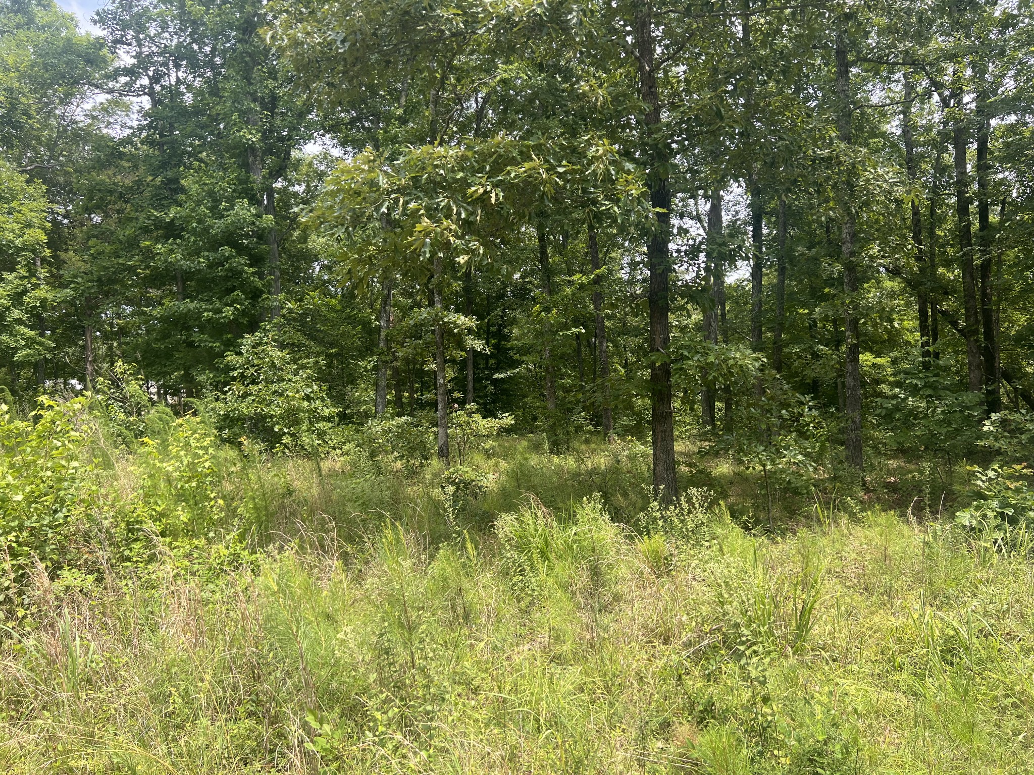 1 LakeView Drive