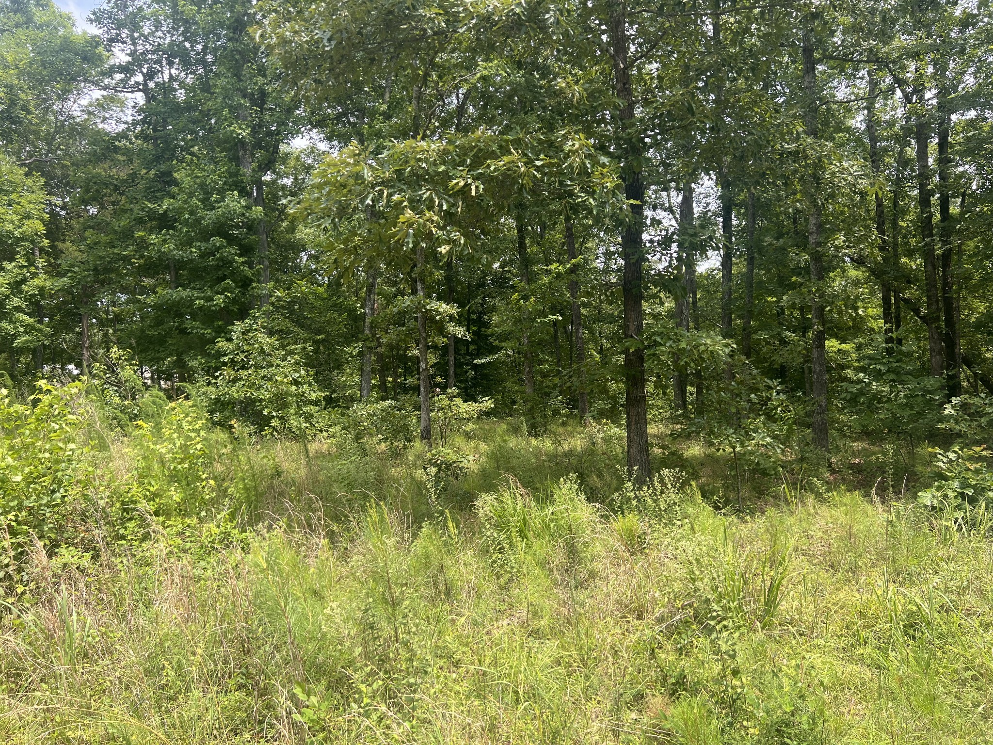 3 Lakeview Drive Property Photo 1