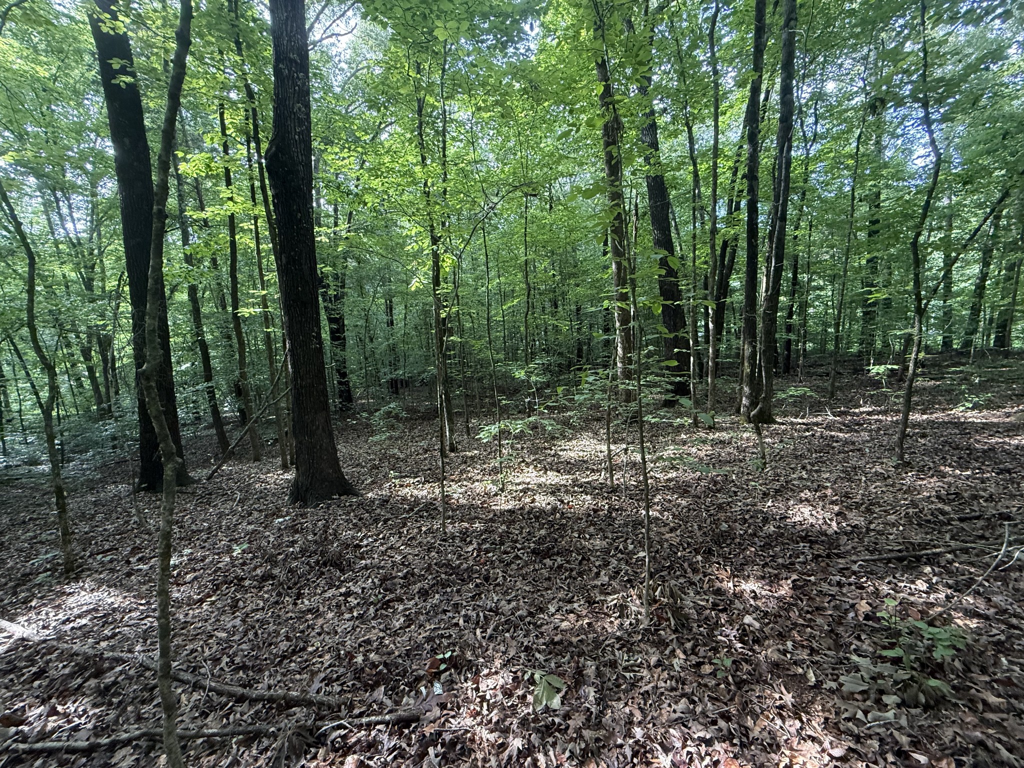 0 Caney Creek Rd Property Photo 1