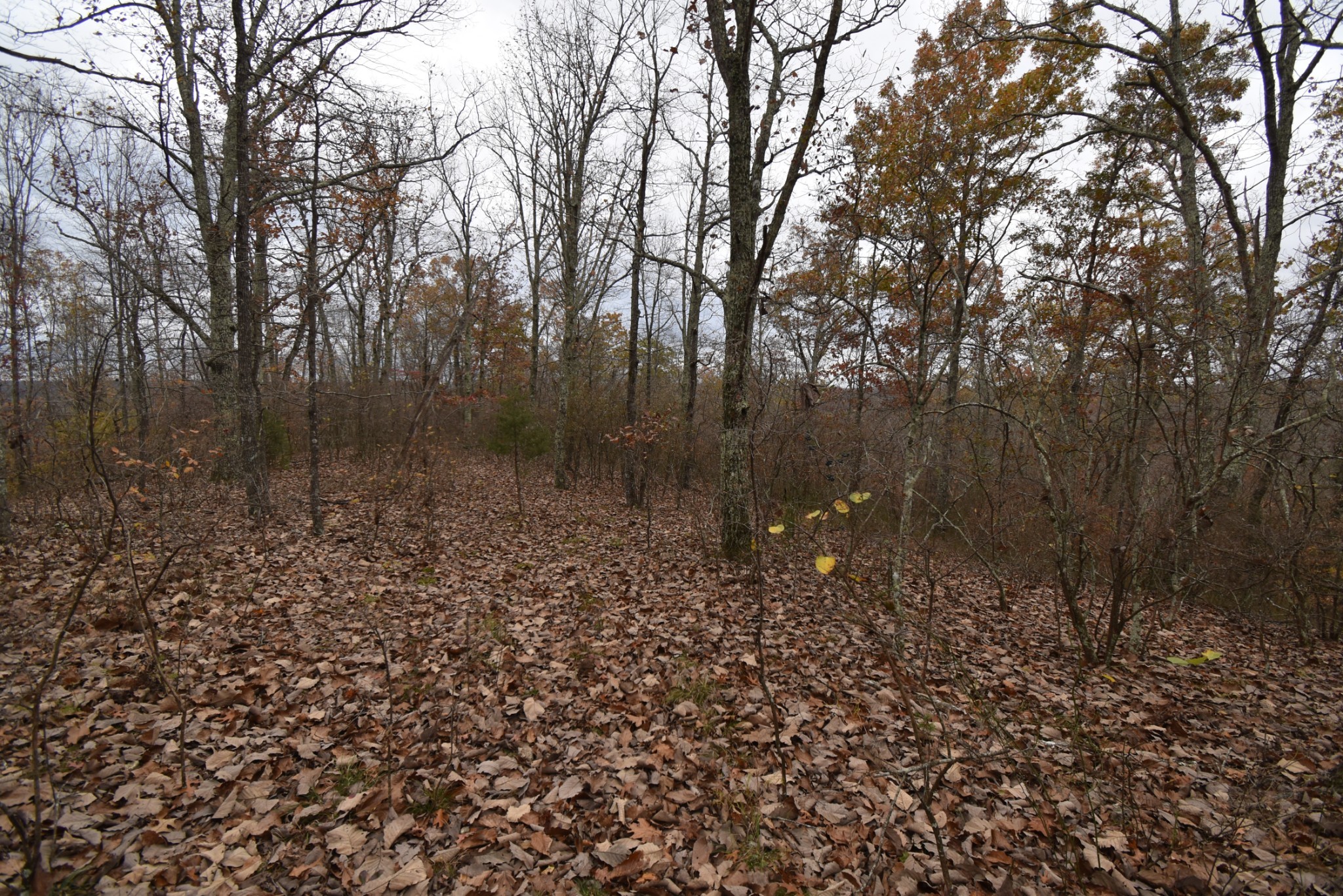 0 Depriest Bend Dr Property Photo 1
