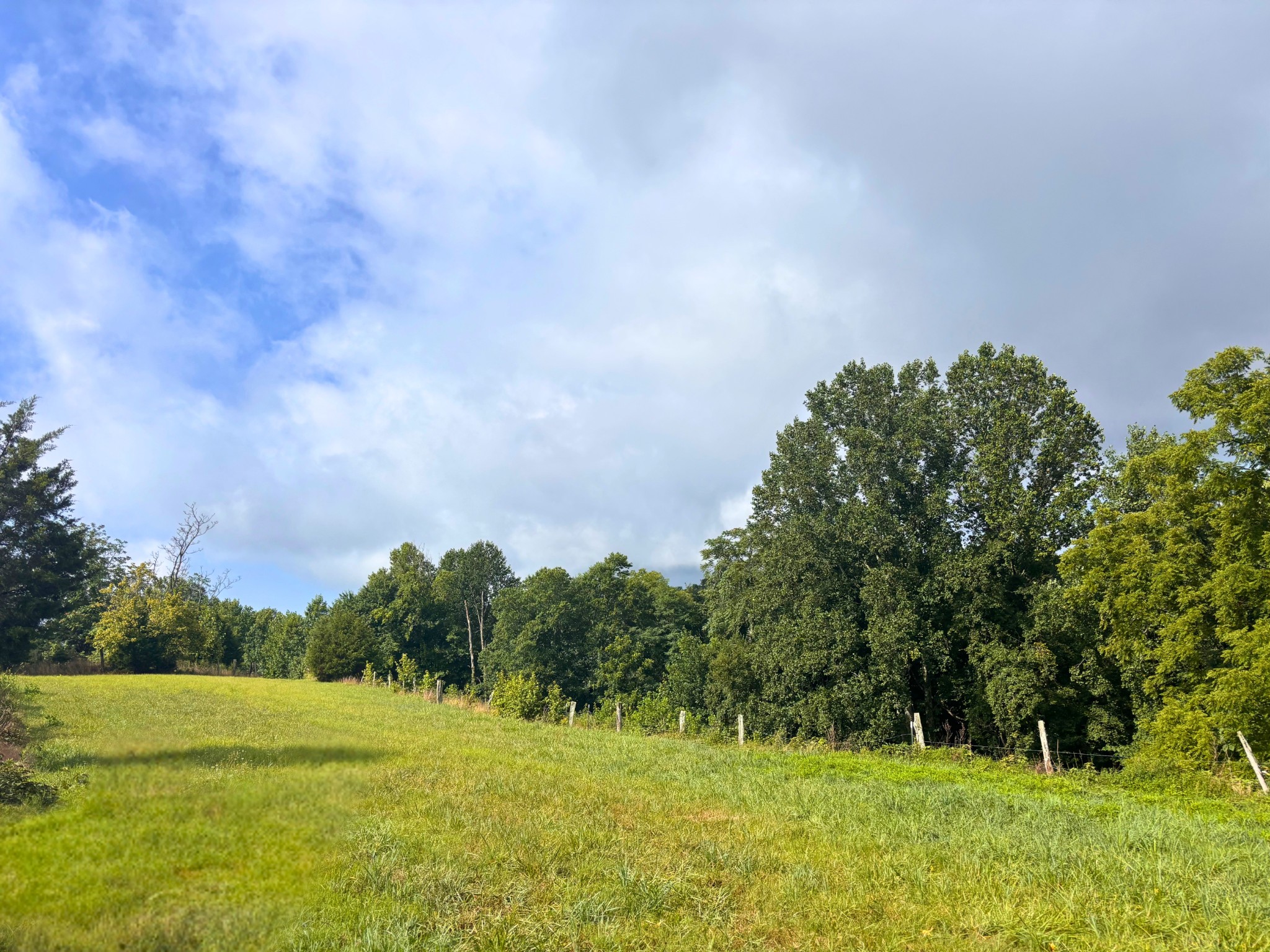 0 Pea Ridge Rd Property Photo 1