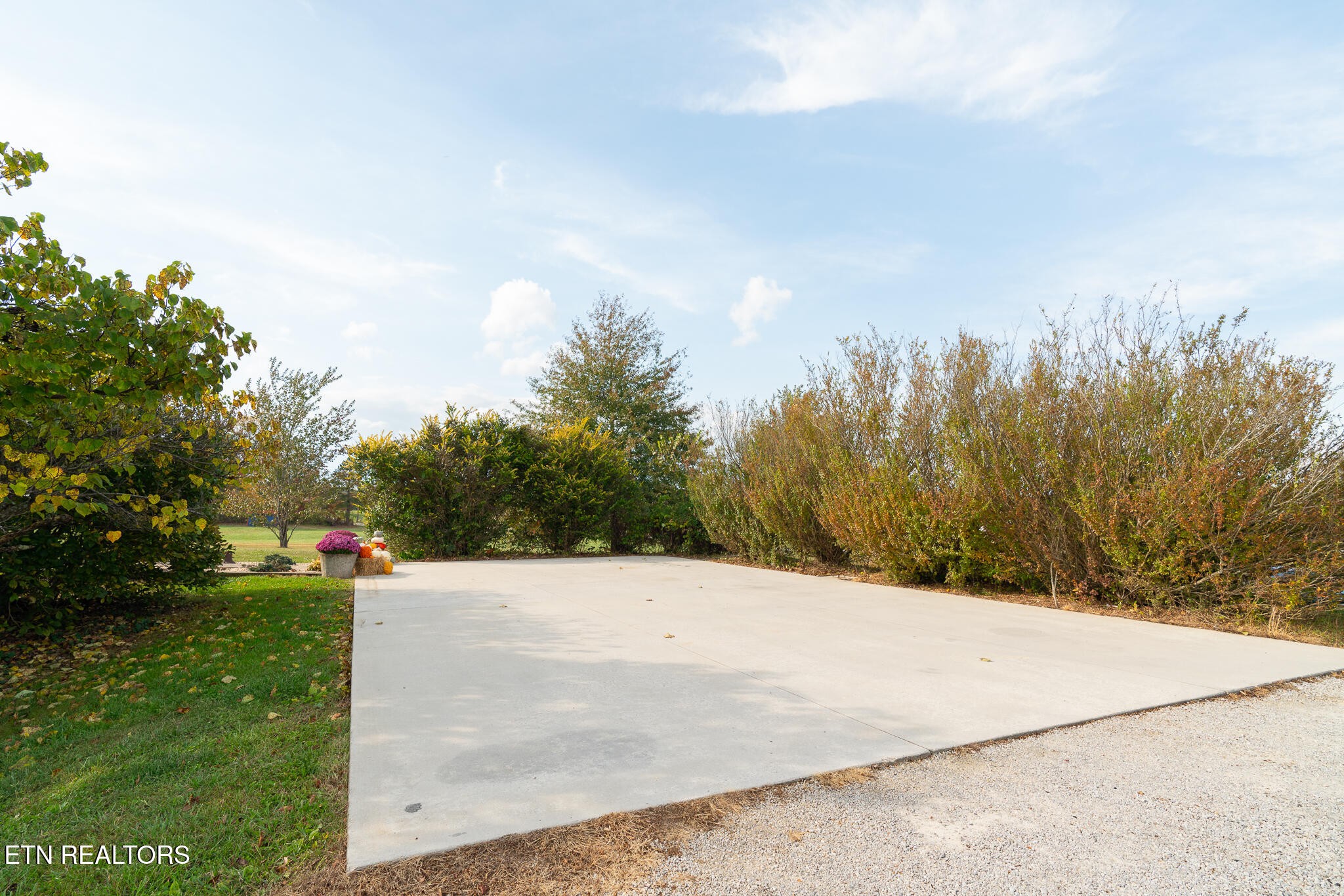 3767 Phillips Flats Rd Property Photo 32